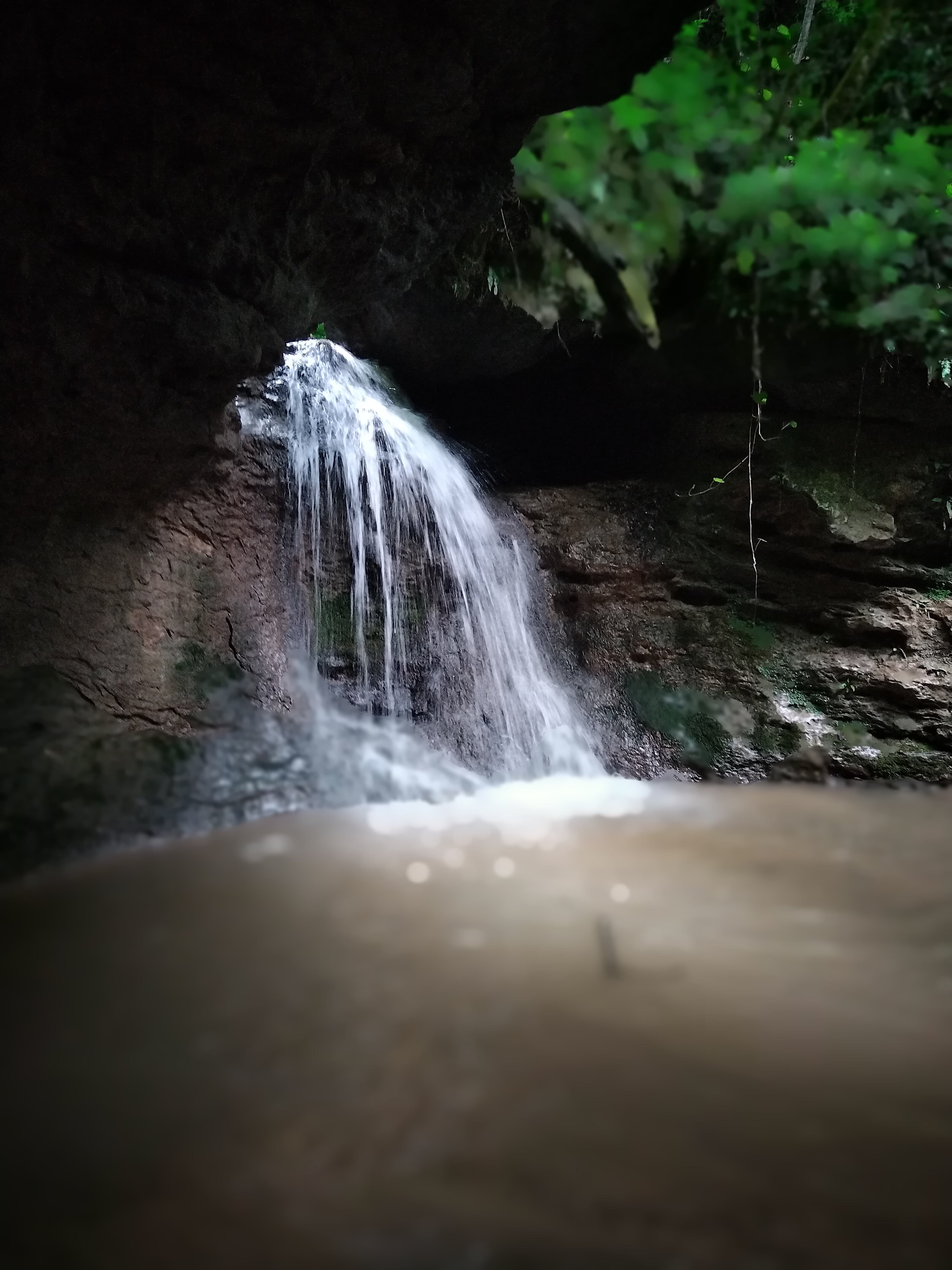 Фото У камина