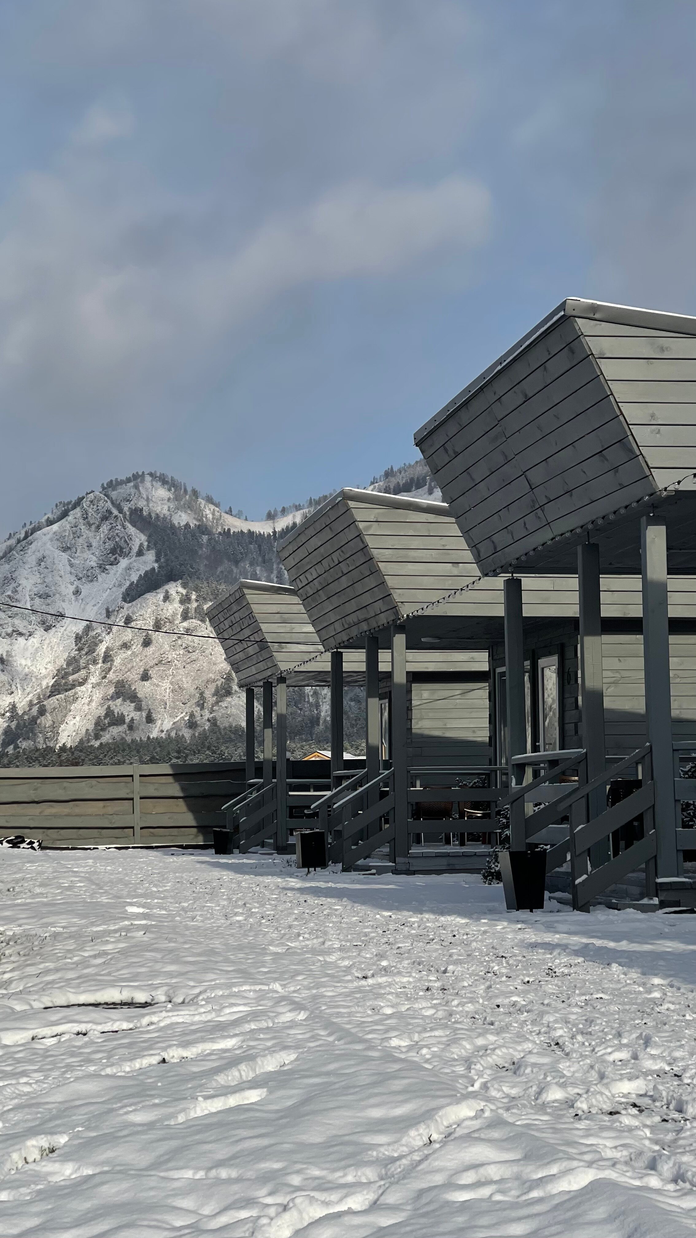 Фото Алтай Лотос