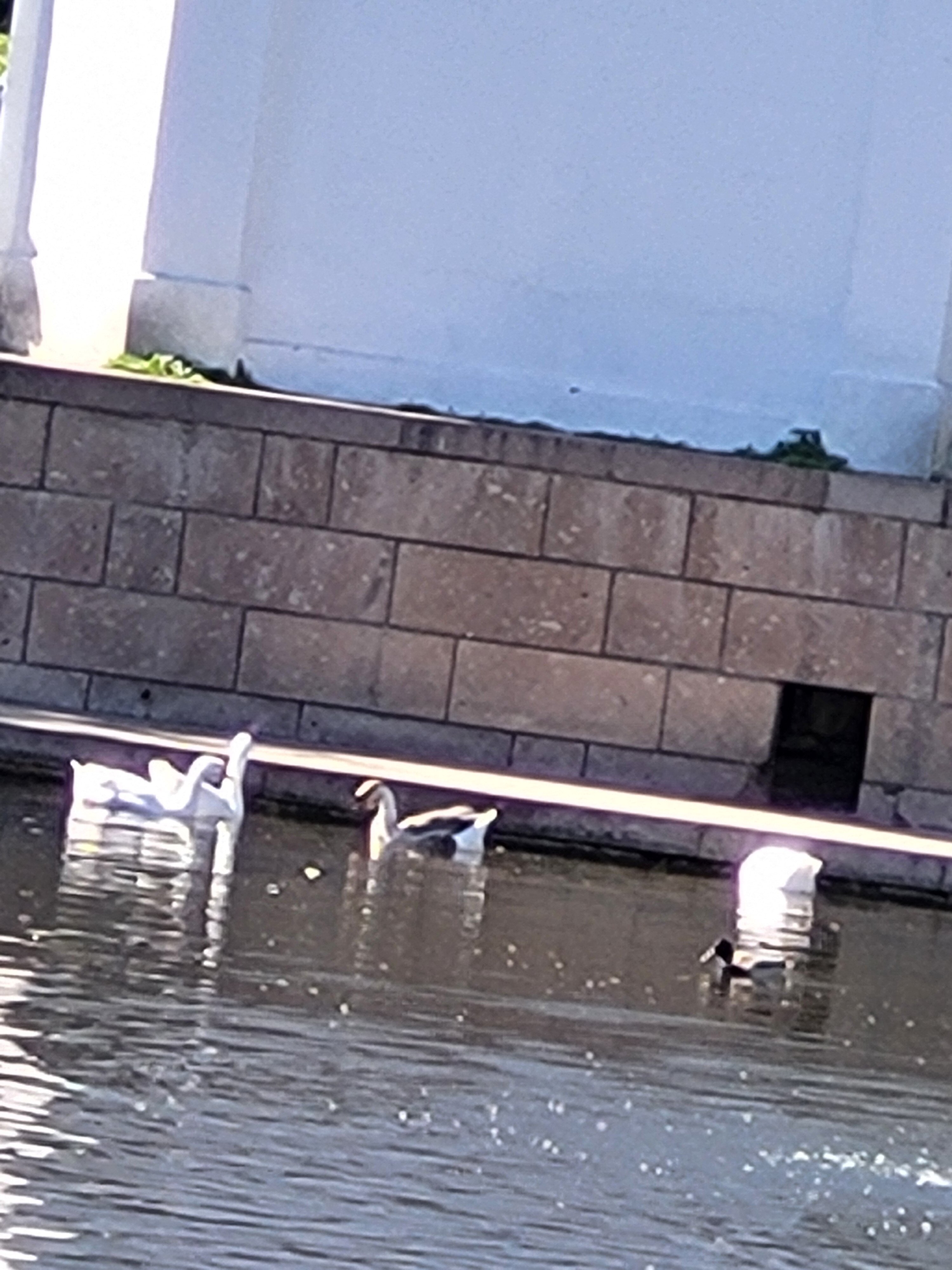 Фото Угреша