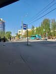 Детский сад (ул. Токарева, 16В), остановка общественного транспорта в Сестрорецке