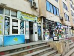 Foto (Sakit Qocayev Street, 6A), photography