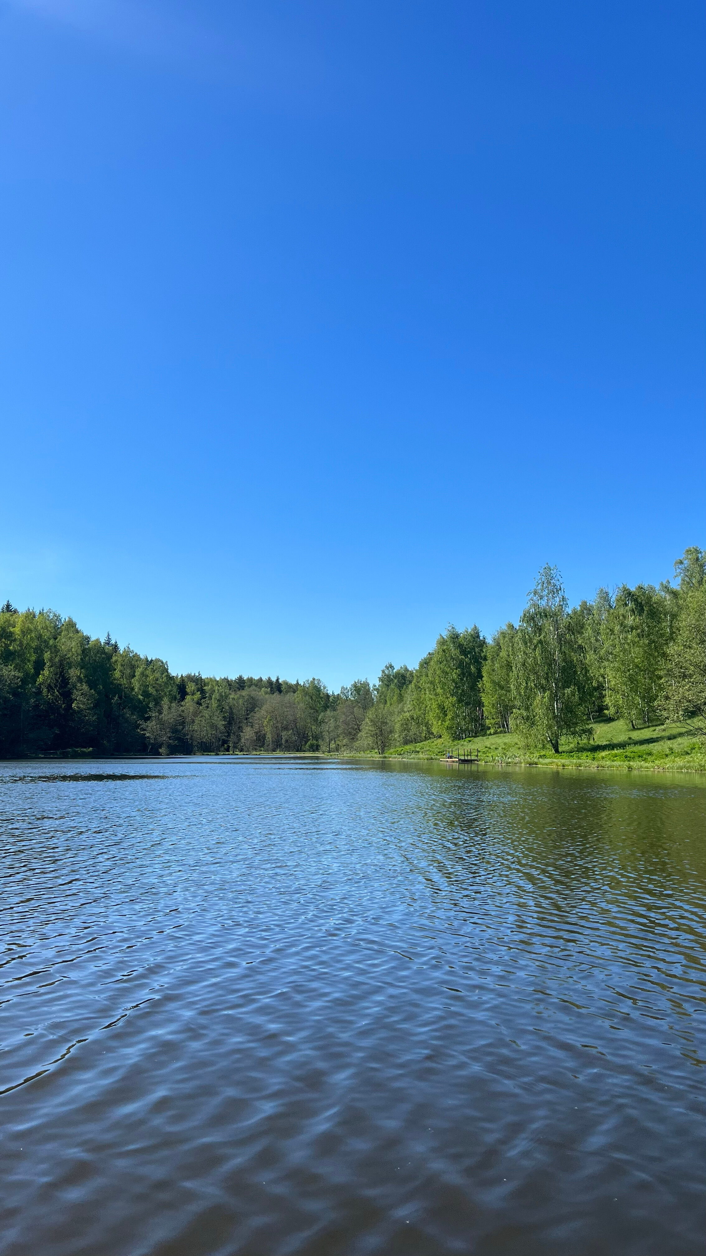 Фото Skazka в лесу