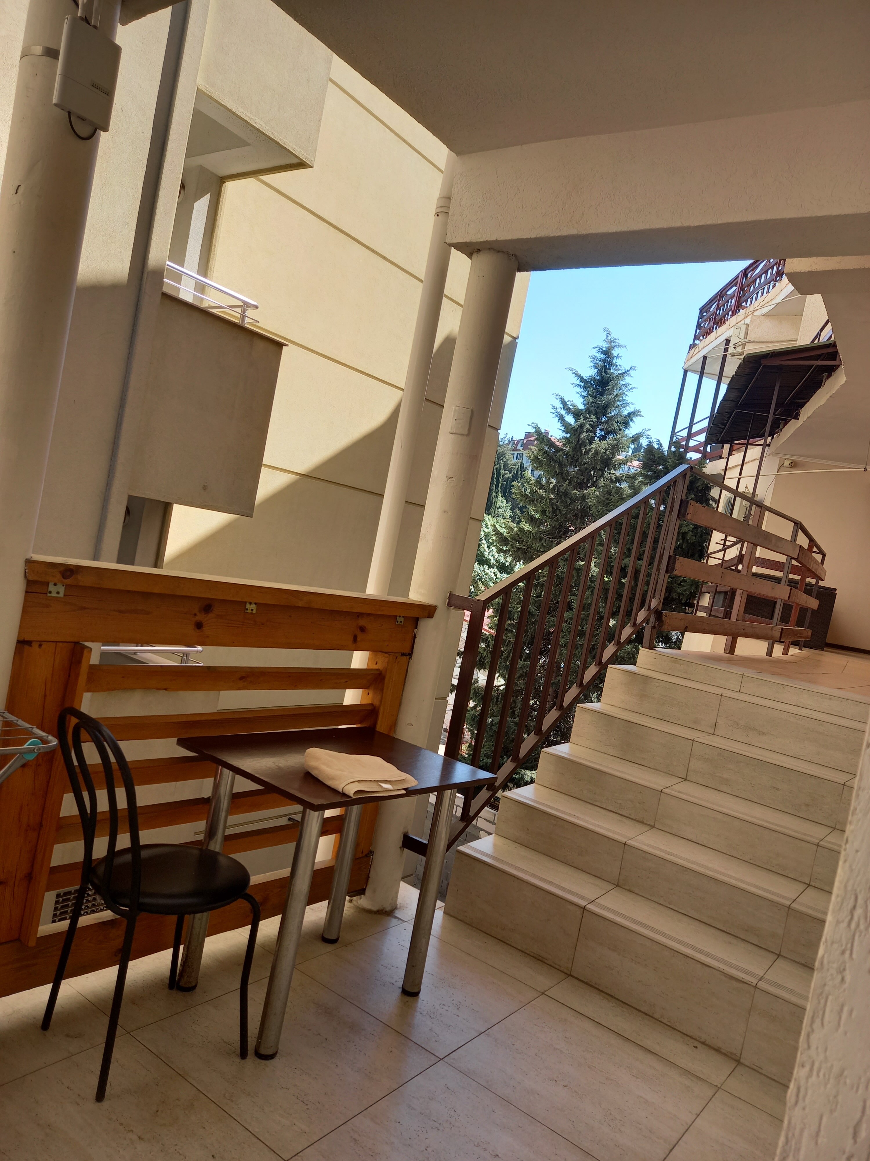 Фото Цитрус