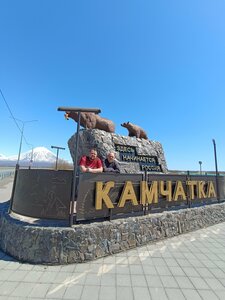 Медведица с медвежонком (Камчатский край, Елизово, А-401, 33-й километр), жанровая скульптура в Елизово