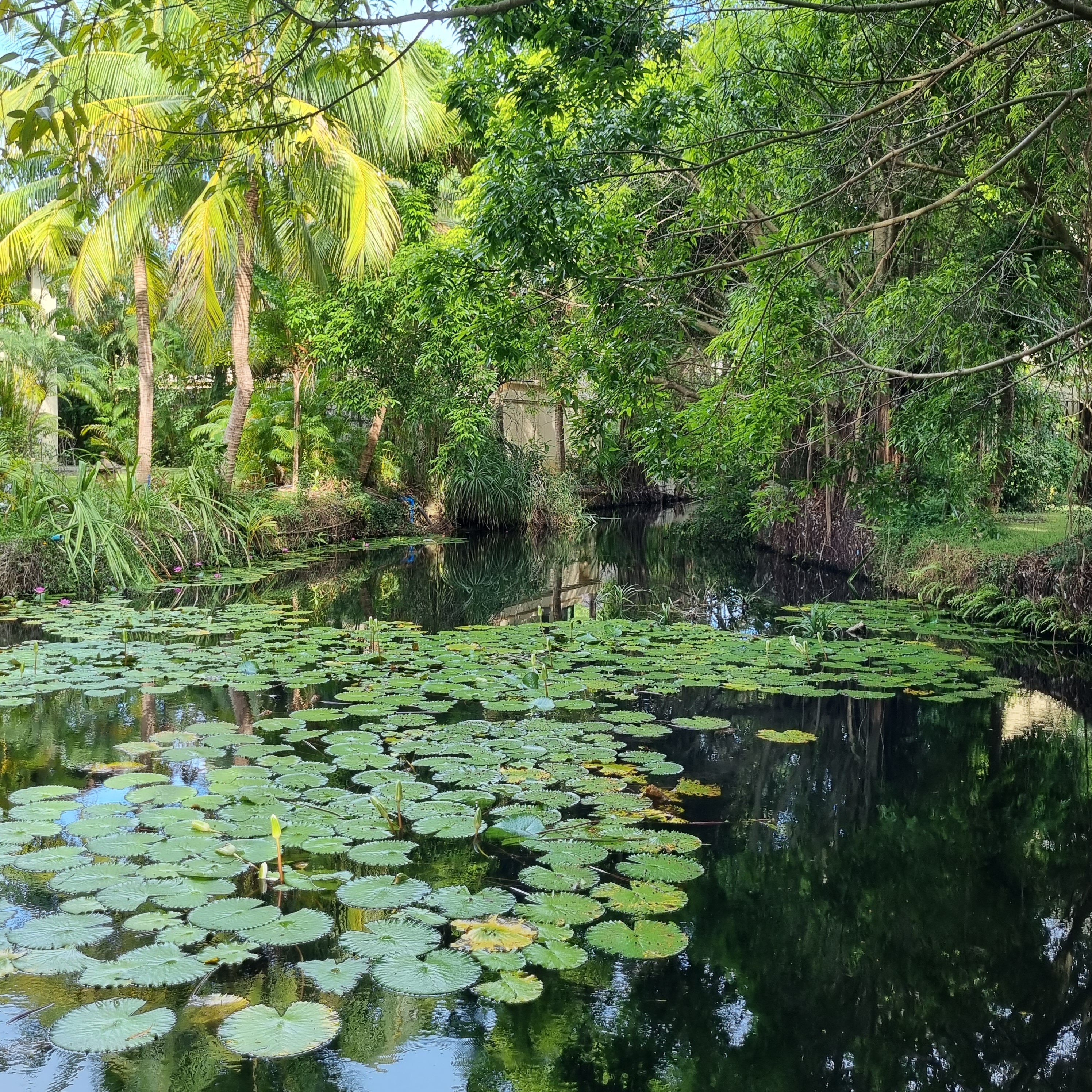 Фото Yalong Bay Villas and SPA