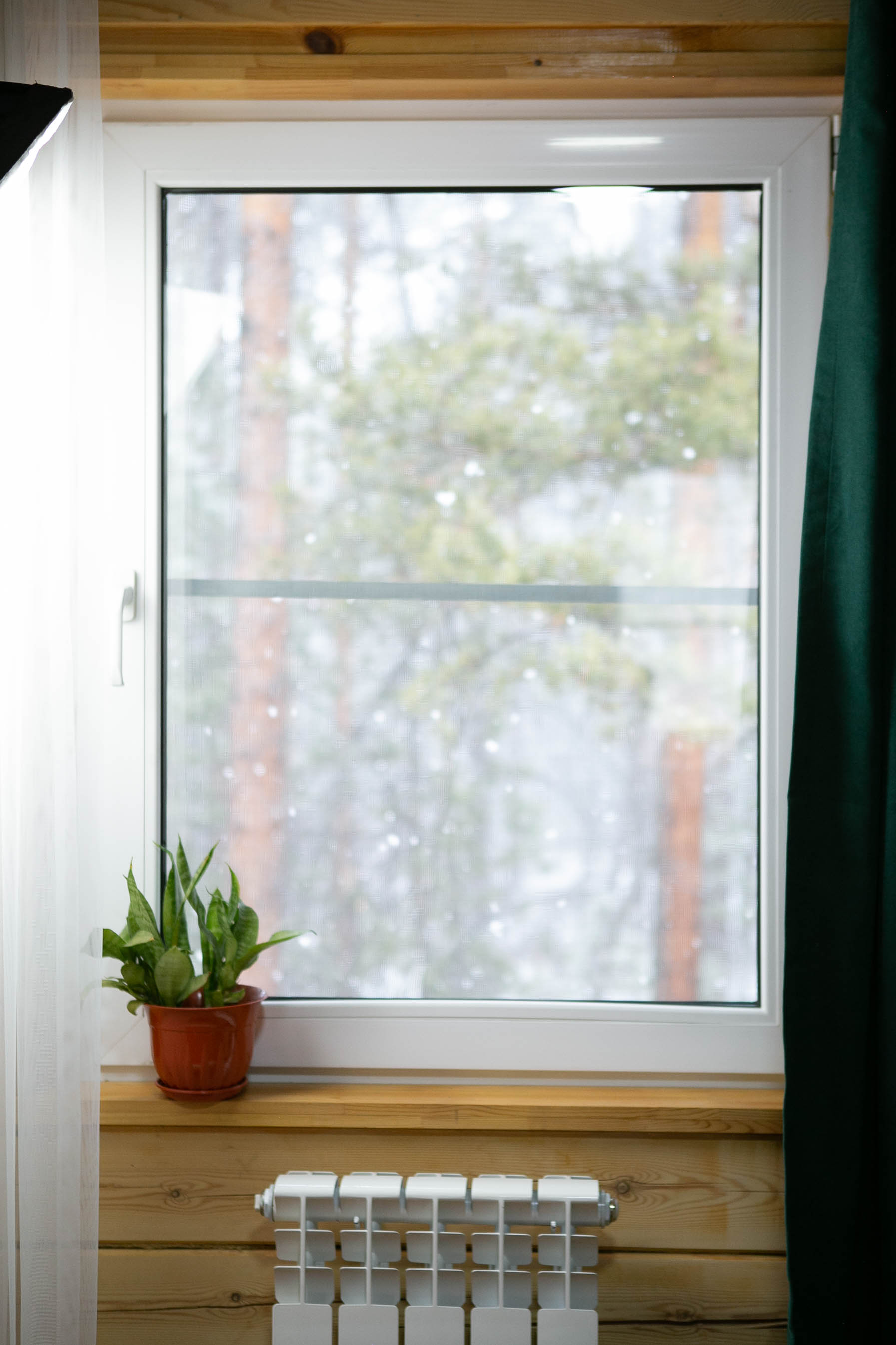 Фото Виктория