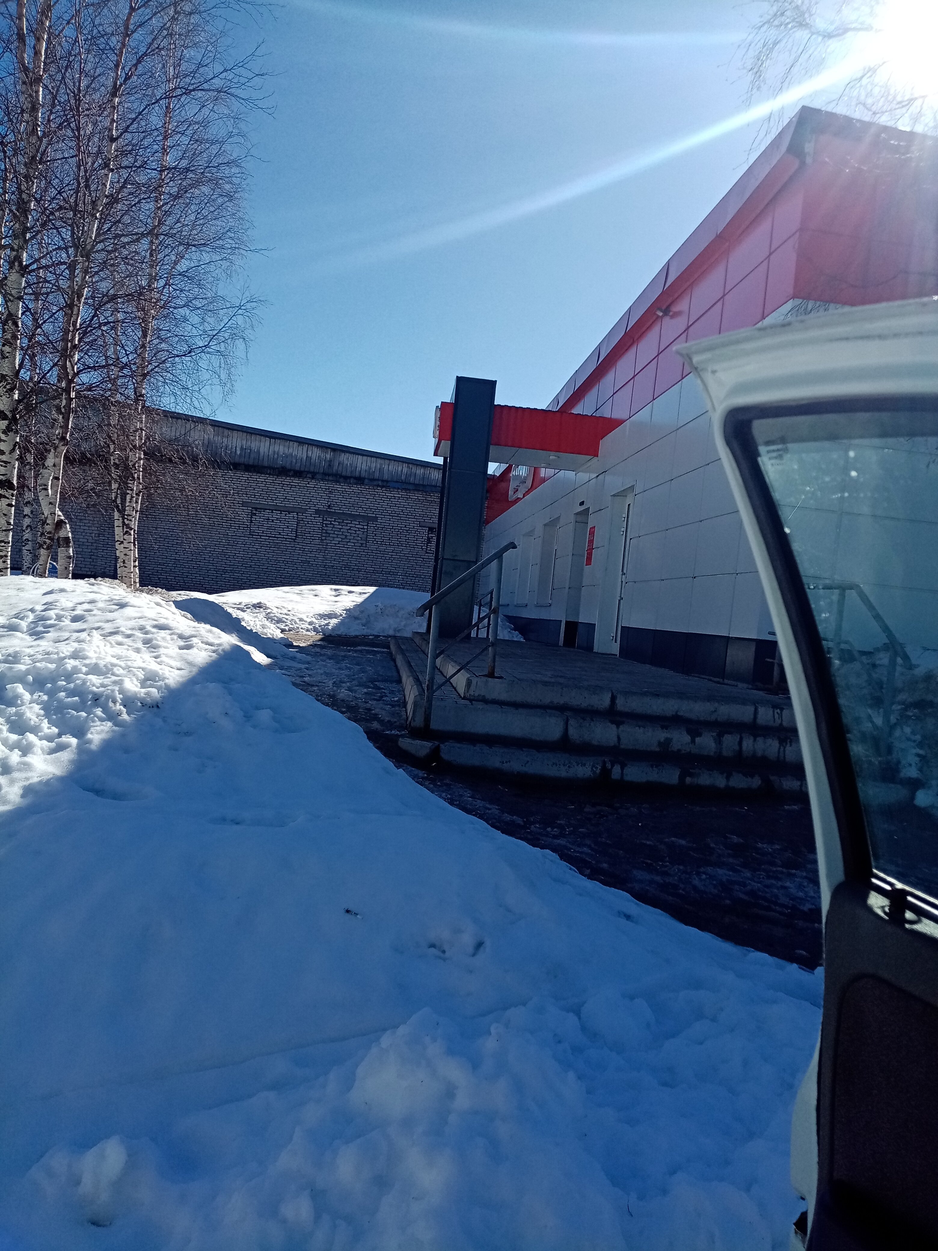 Фото Лесная