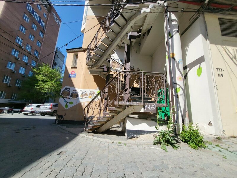 Сова — фото 33