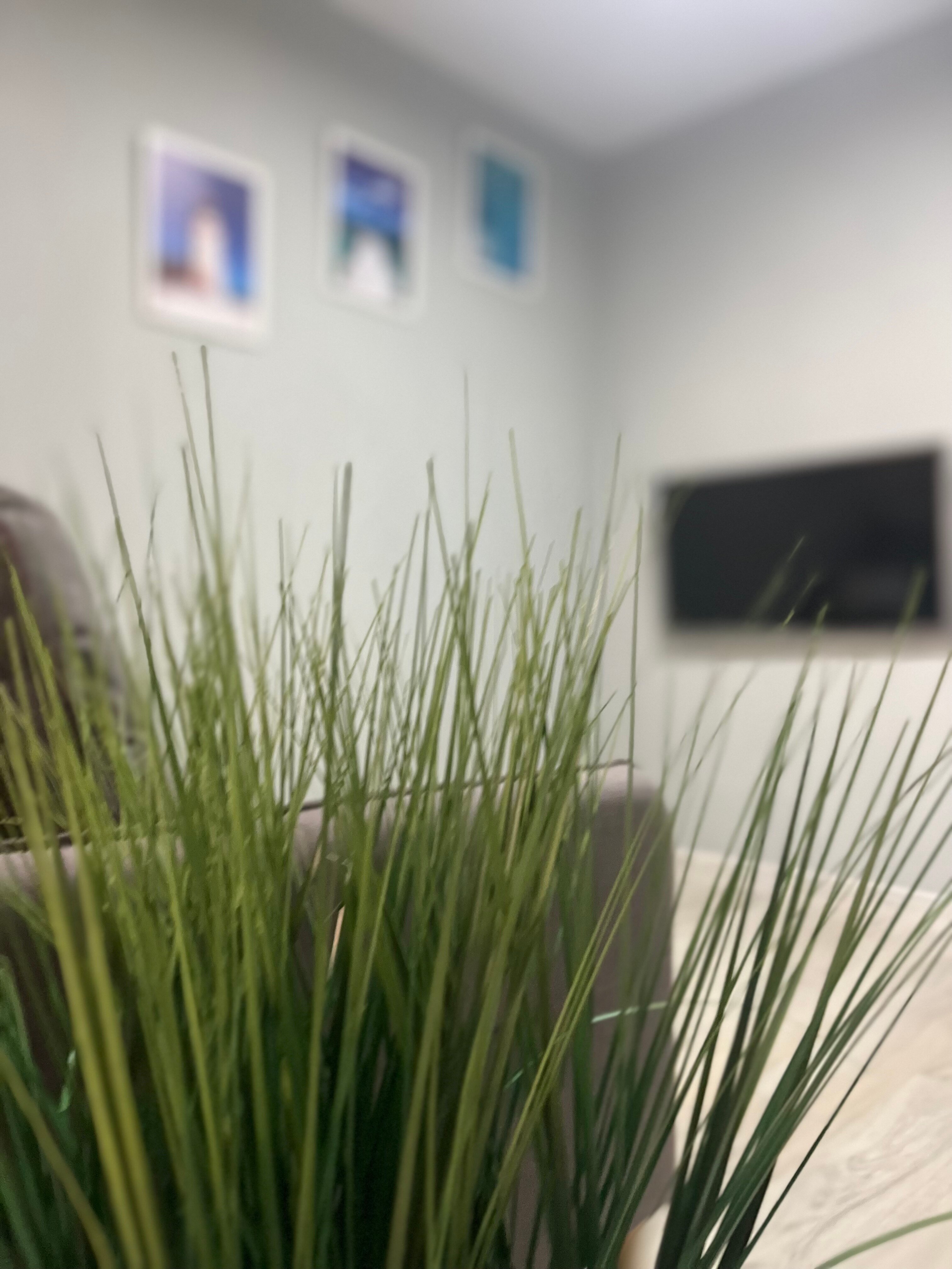 Фото Холидэй Хаус