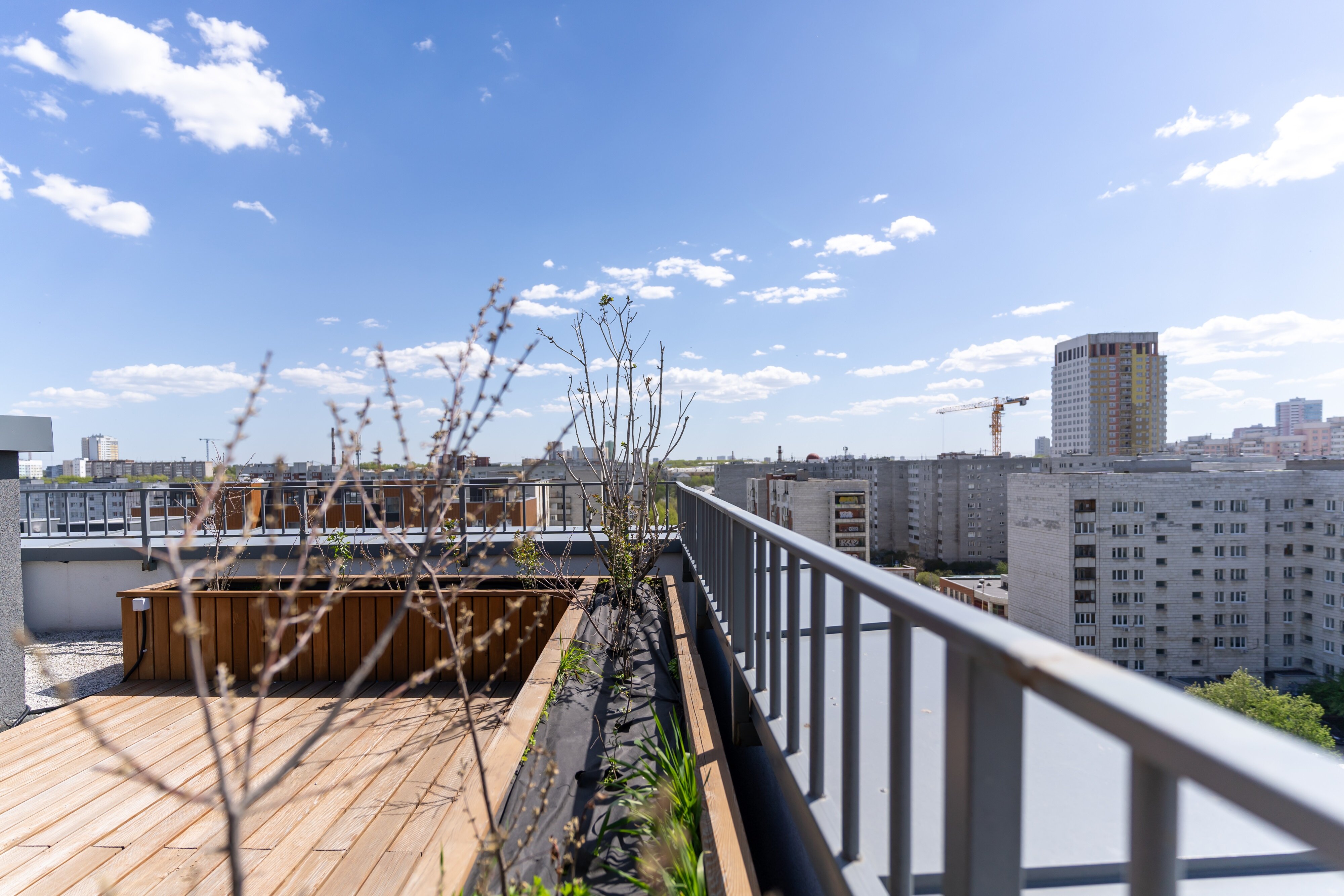 Фото Степаненков на Стачек