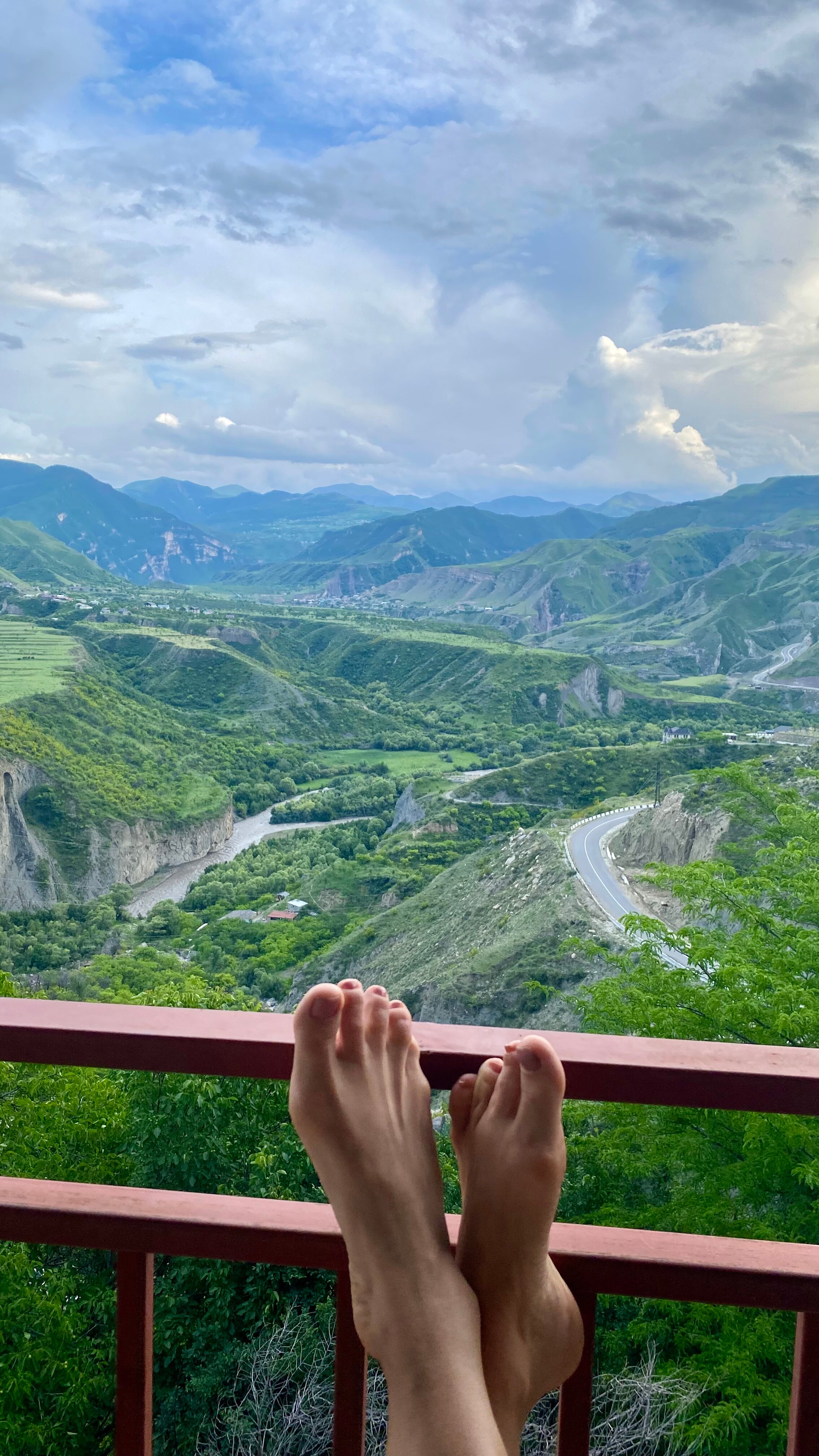 Фото Пение птиц