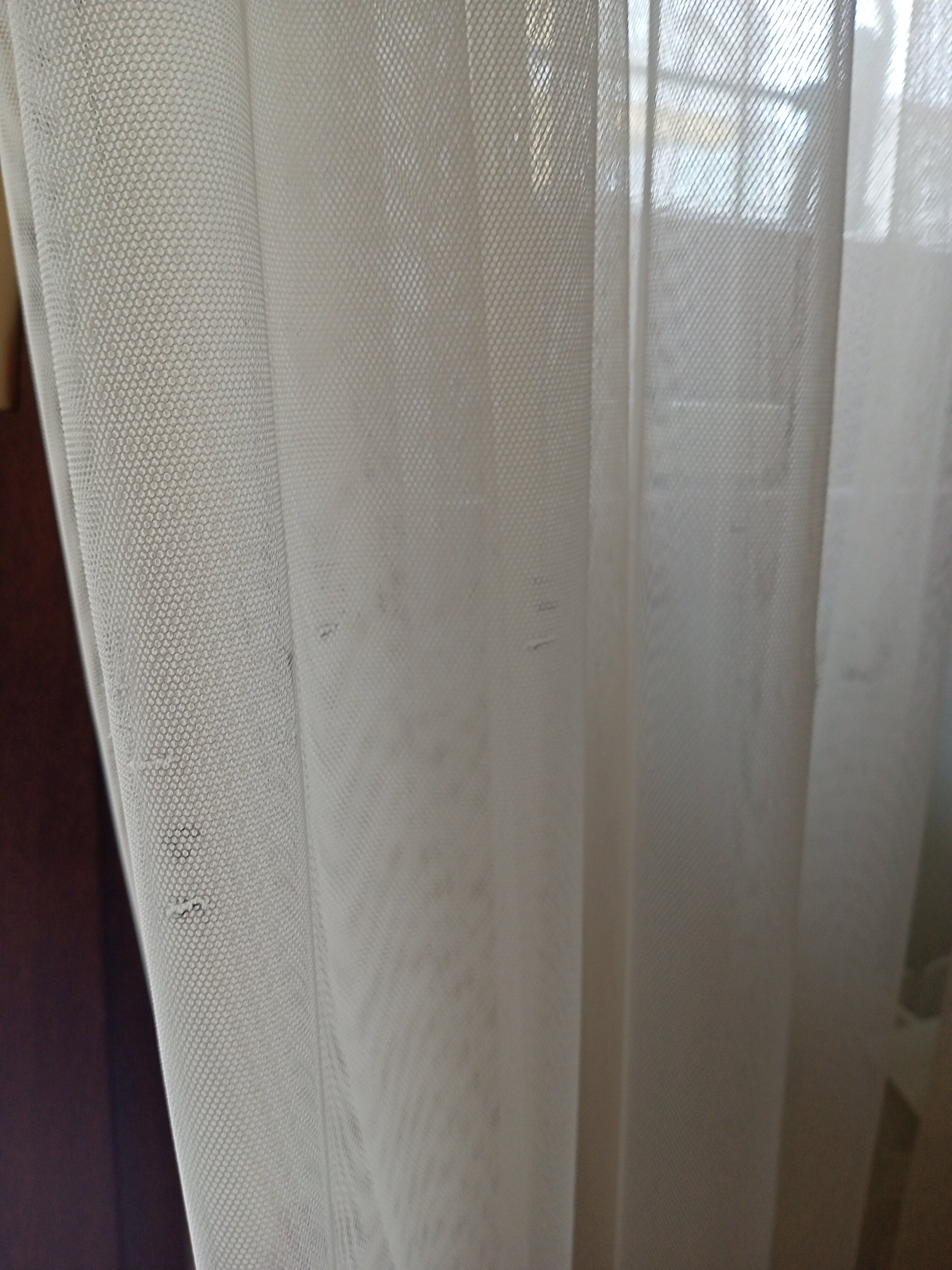 Фото Аморе Мио