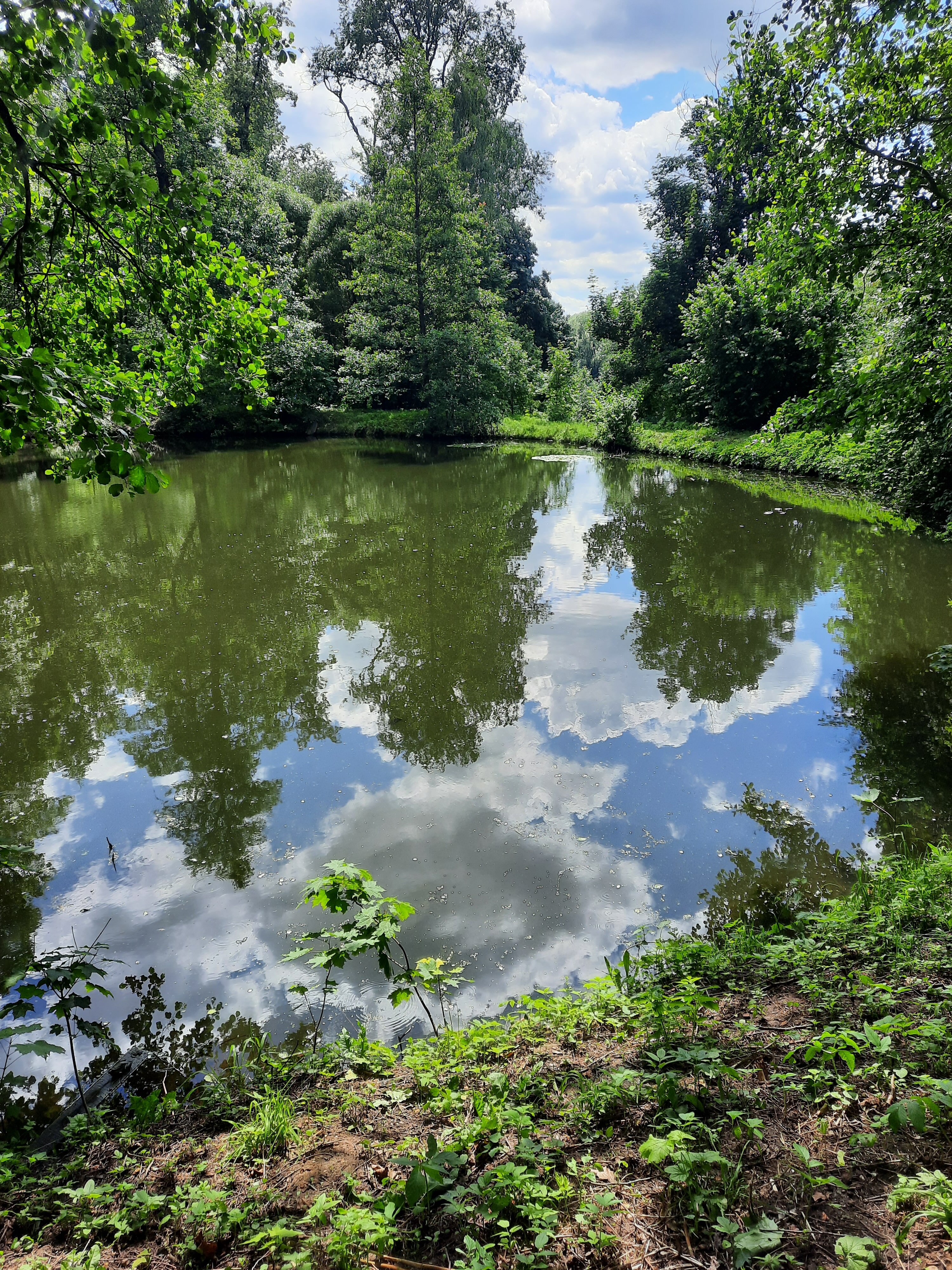 Фото Усадьба Горки