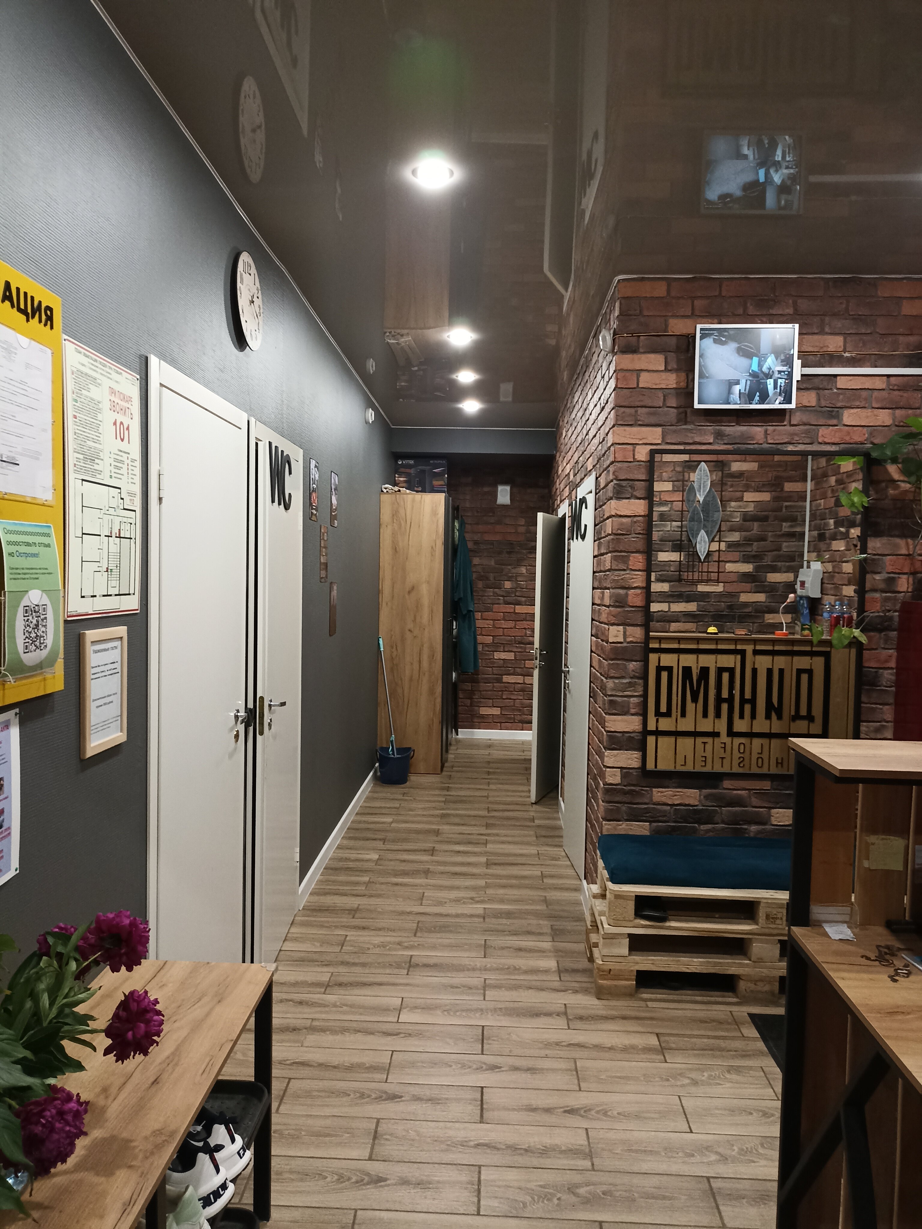 Фото Динамо Loft