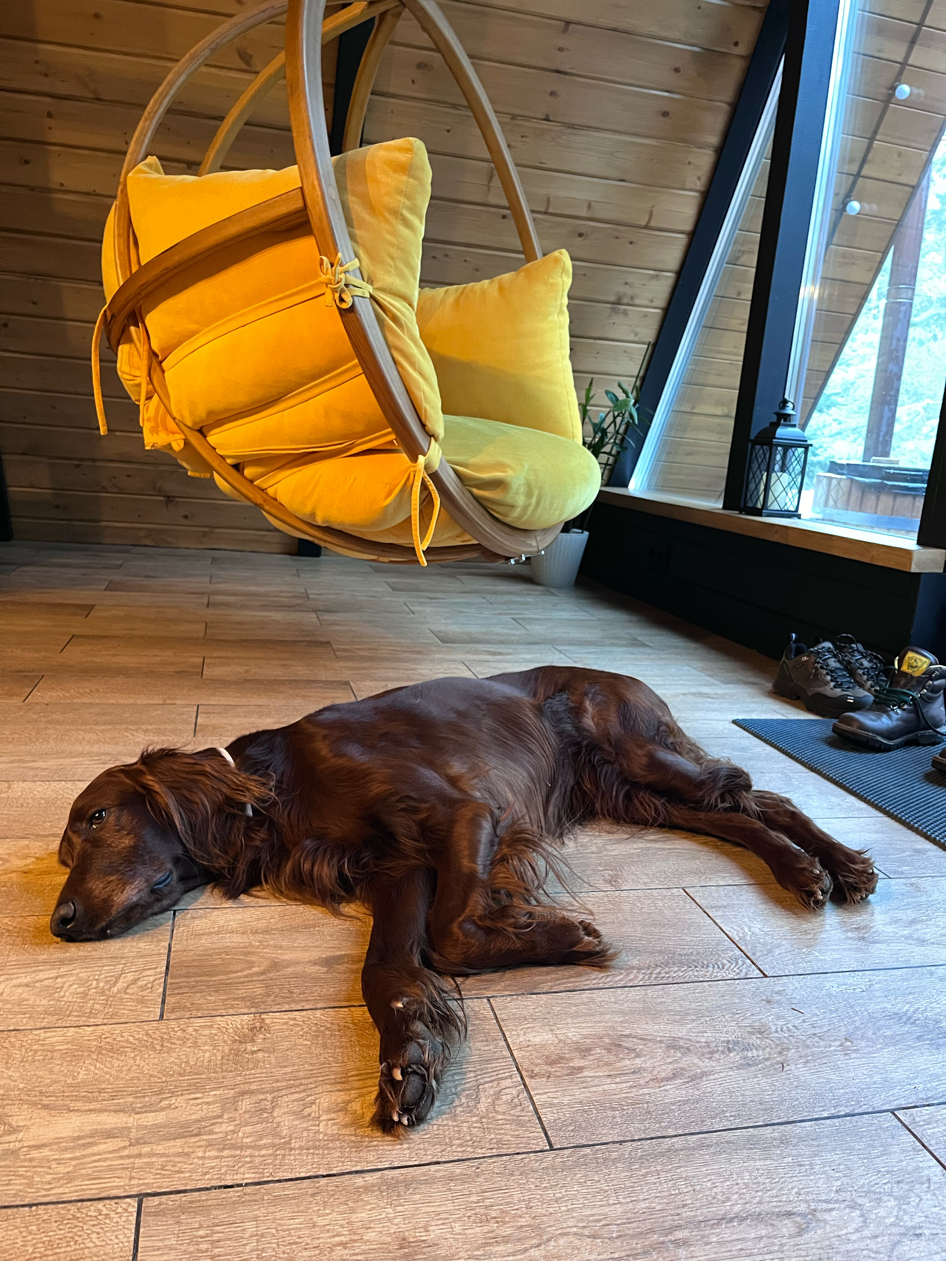 Фото Хвойная Хижина