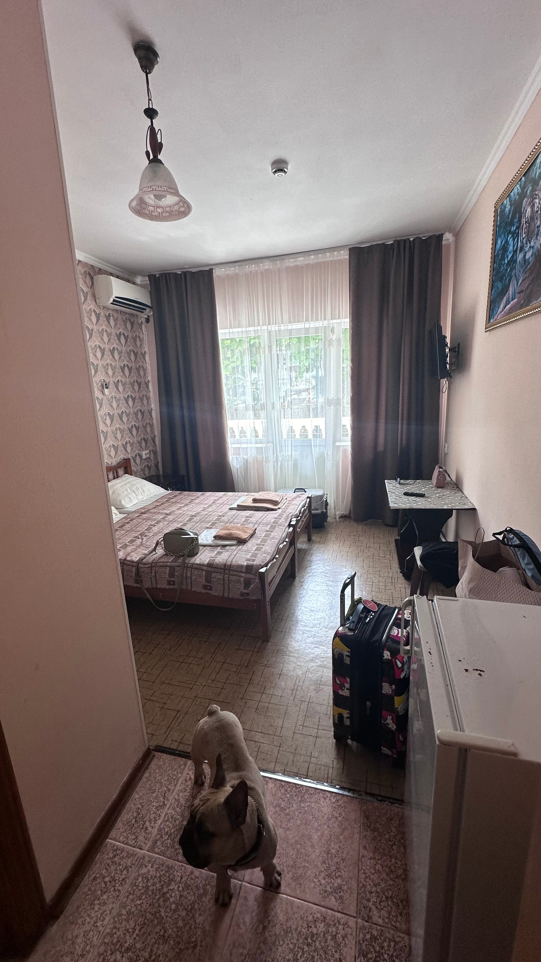 Фото ЮгАделия