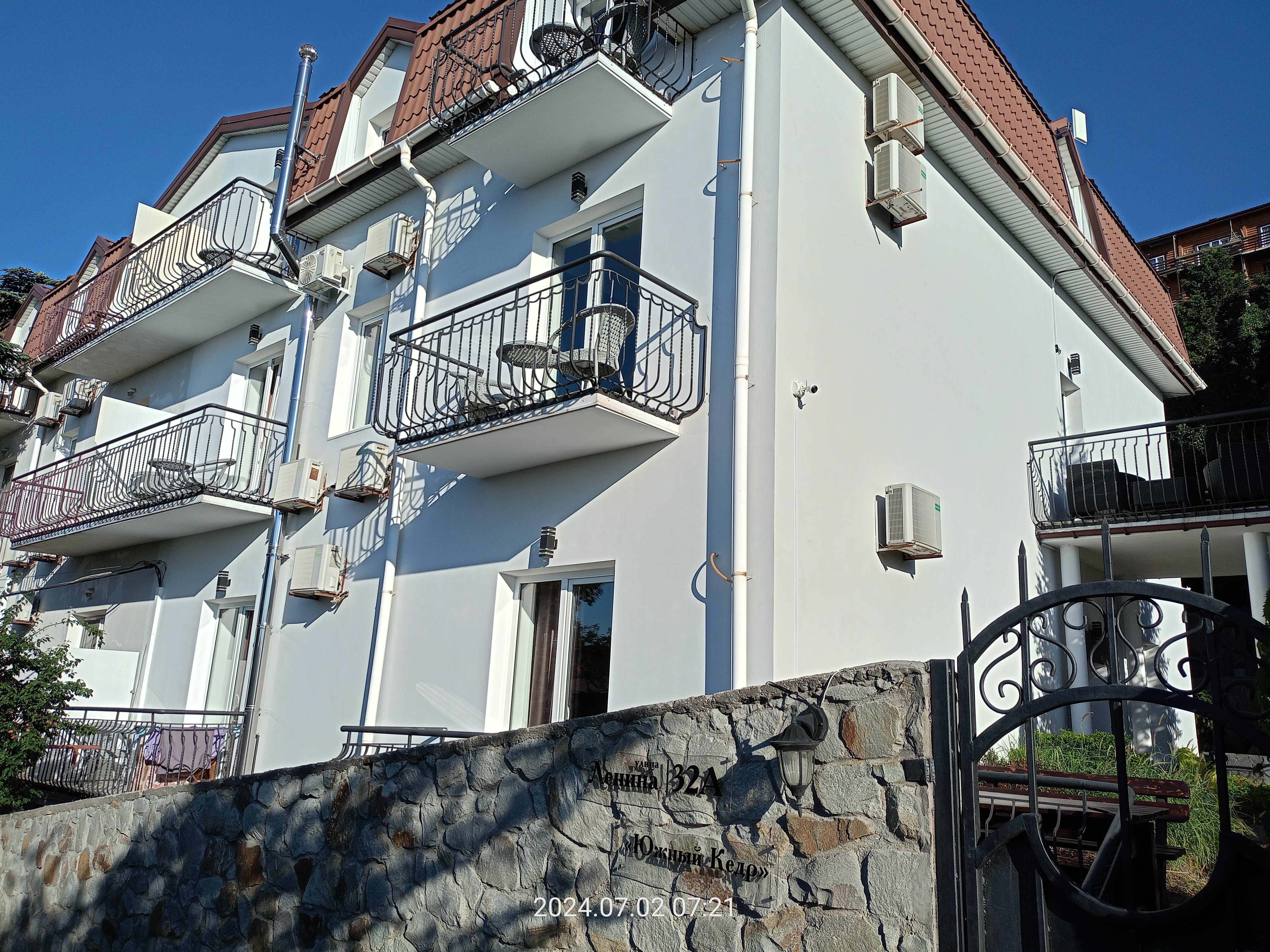 Фото Южный Кедр