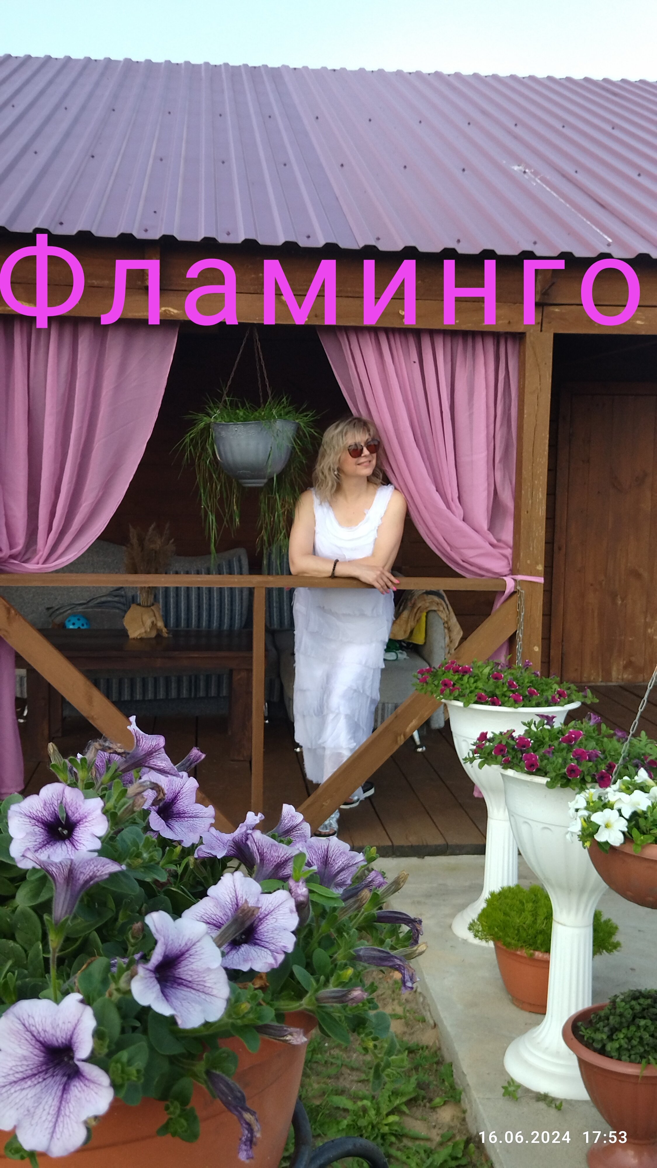 Фото Фламинго