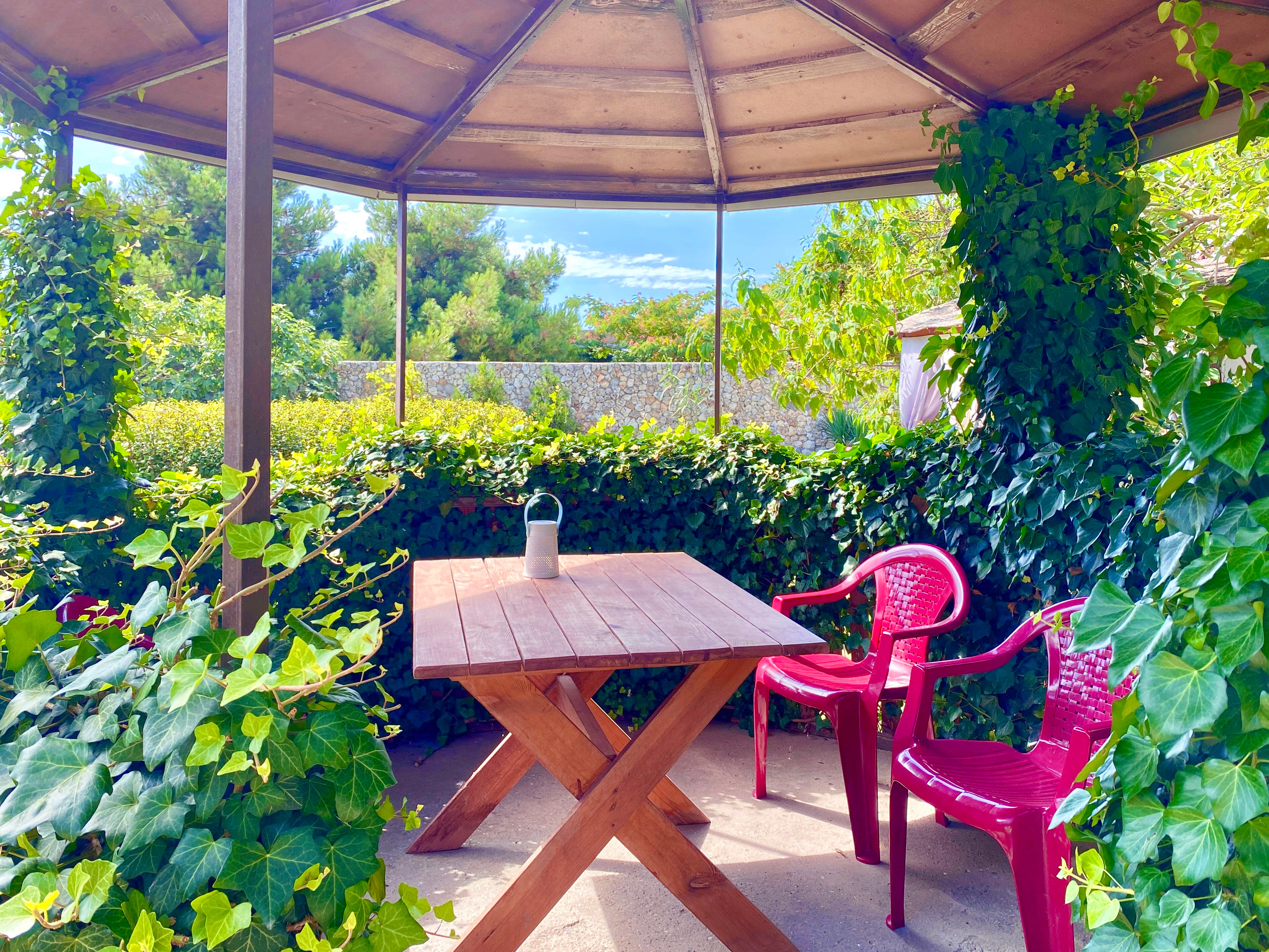 Фото АвокаДа