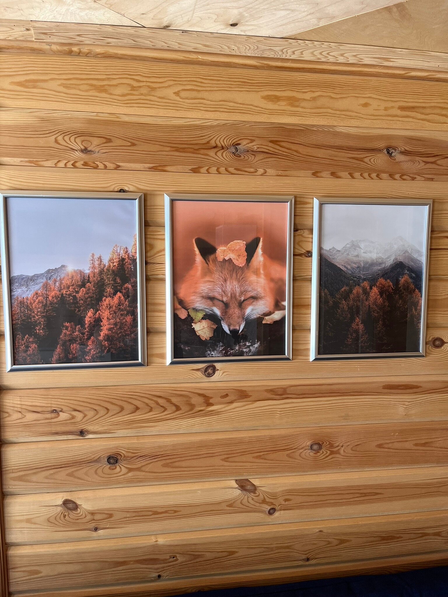 Фото Домик на Октябрьской