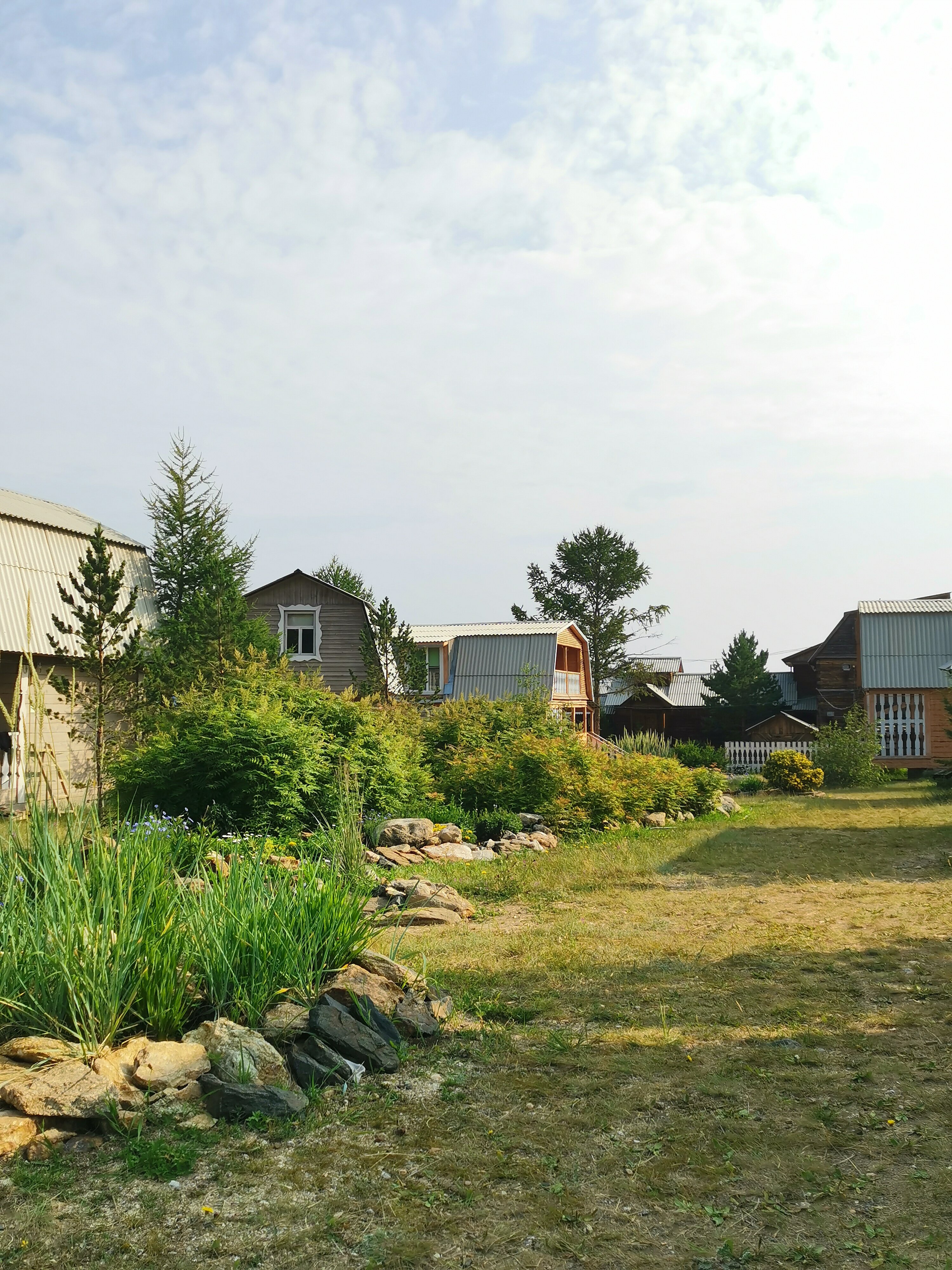 Фото Чабрец