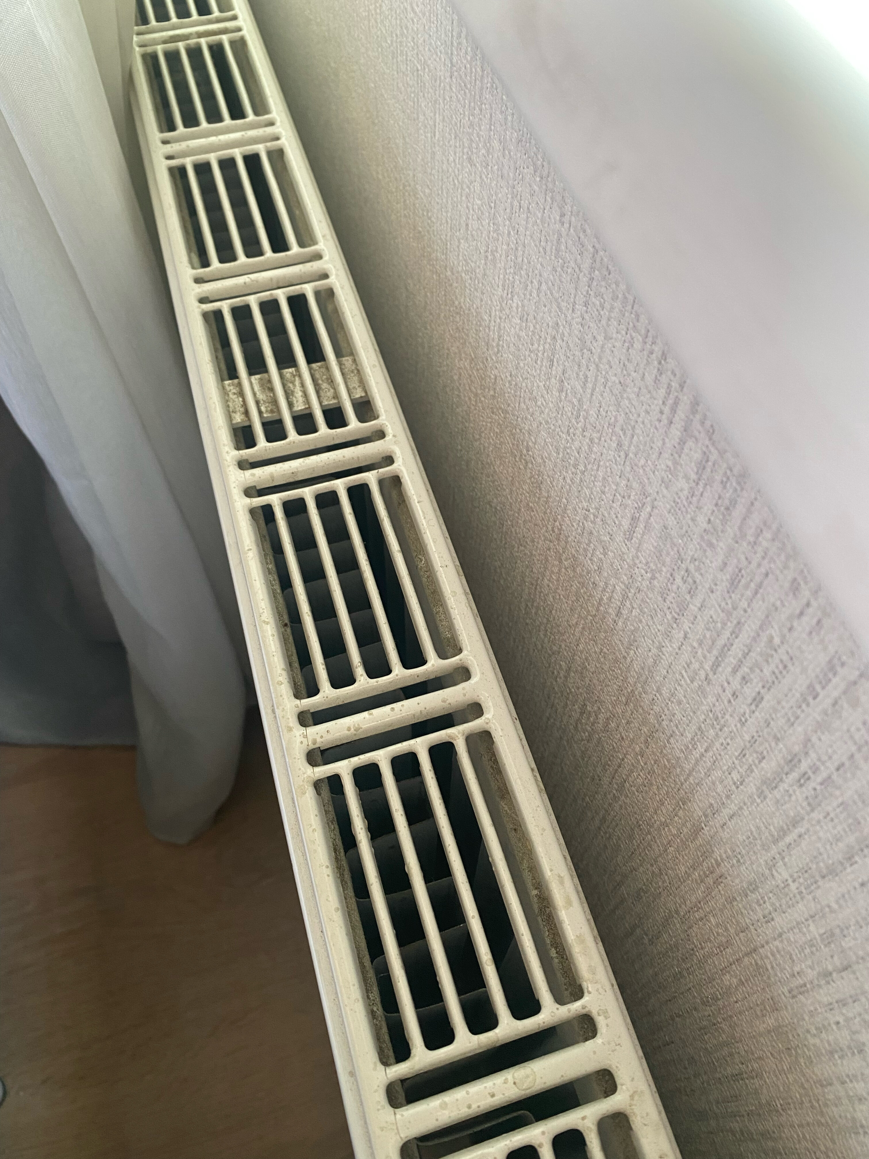 Фото Елагин