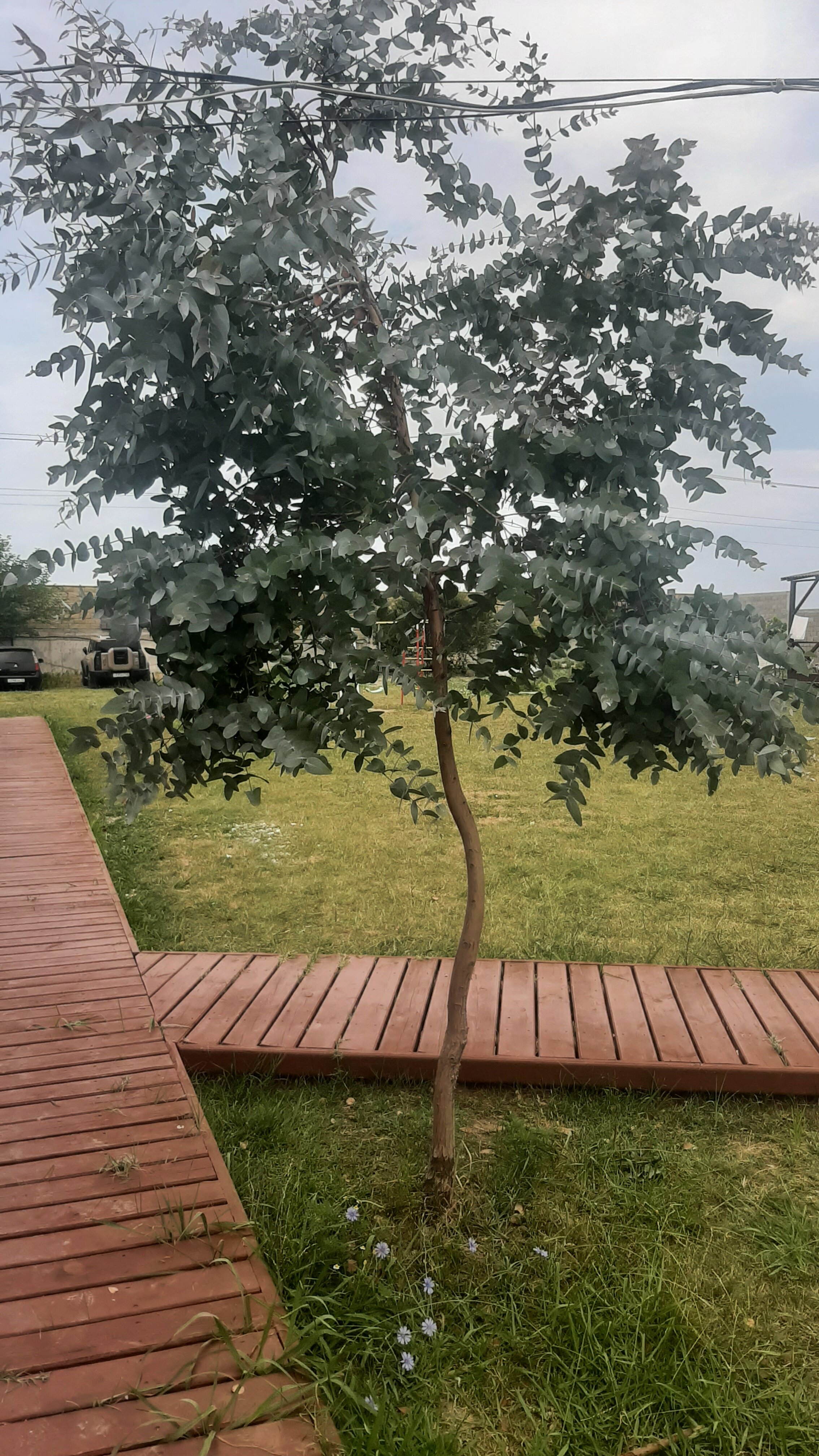 Фото Guest house Toriya