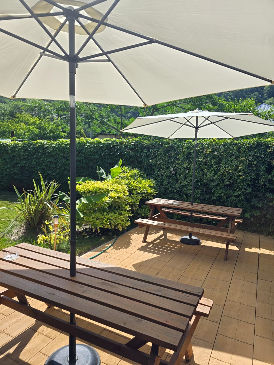 Фото Баунти