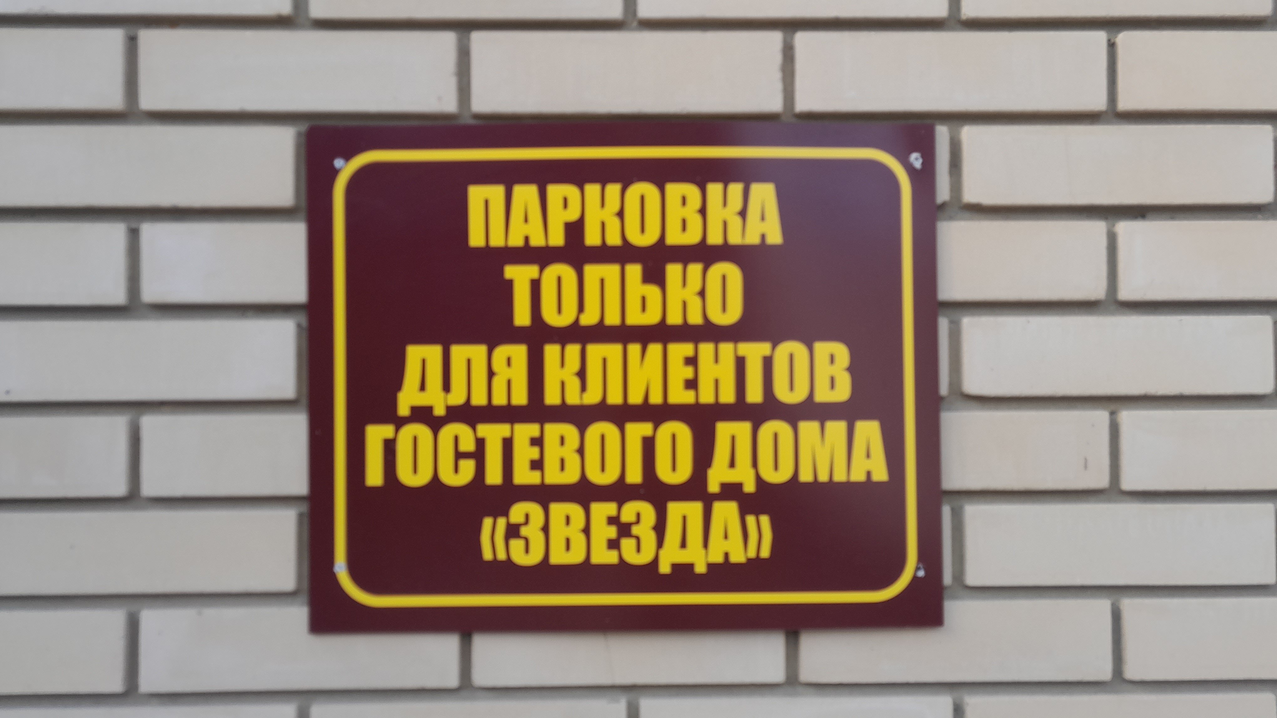 Фото Звезда