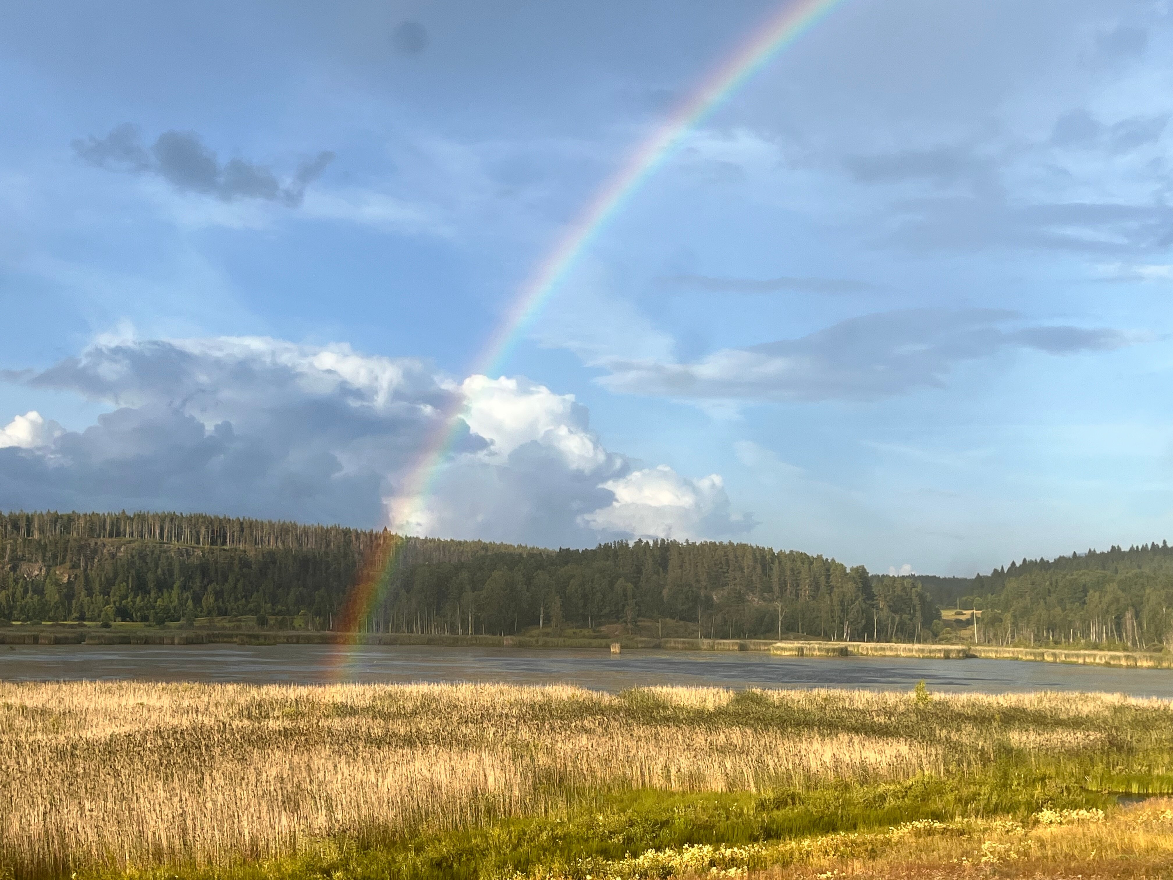 Фото Киркколампи