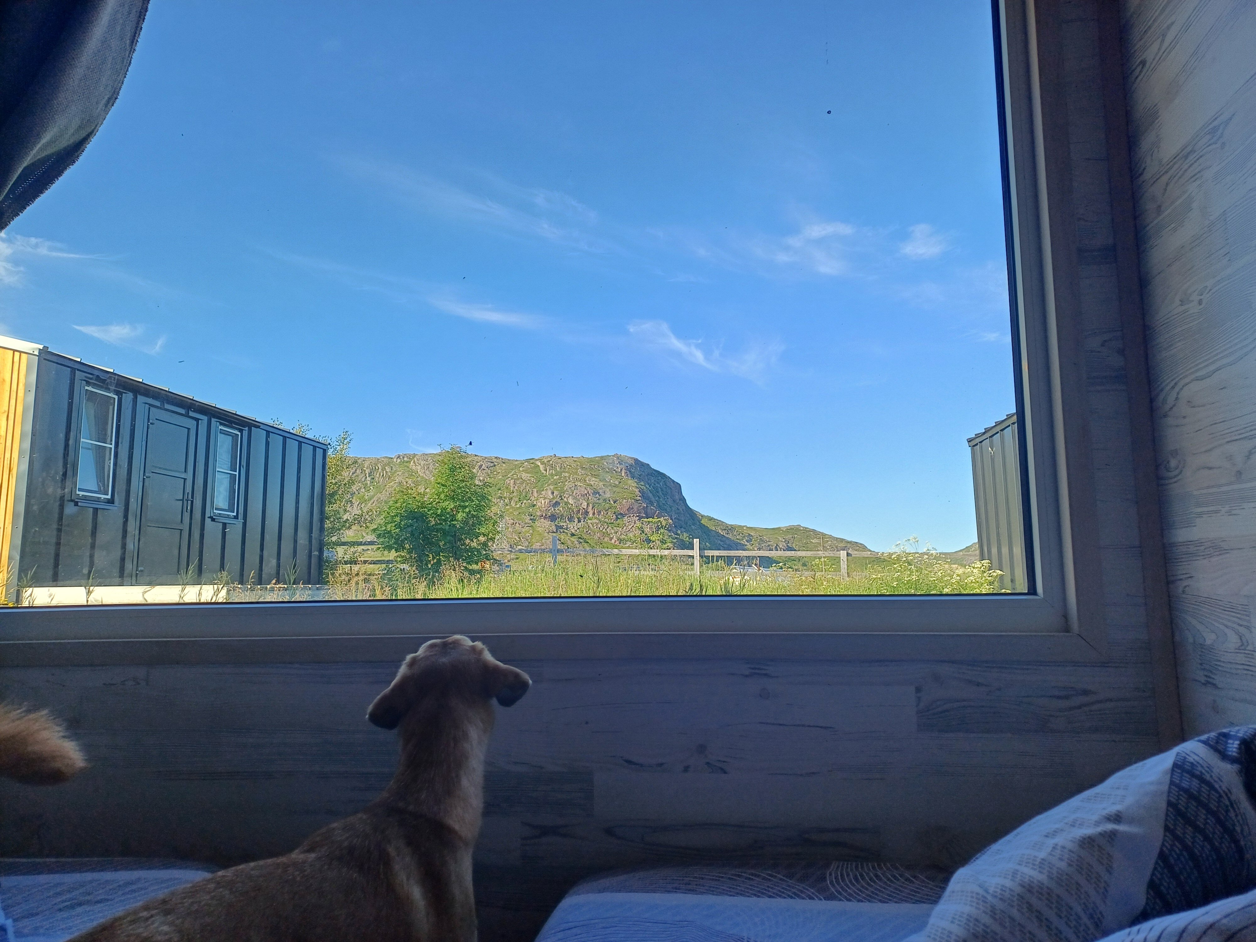 Фото Ковчег51