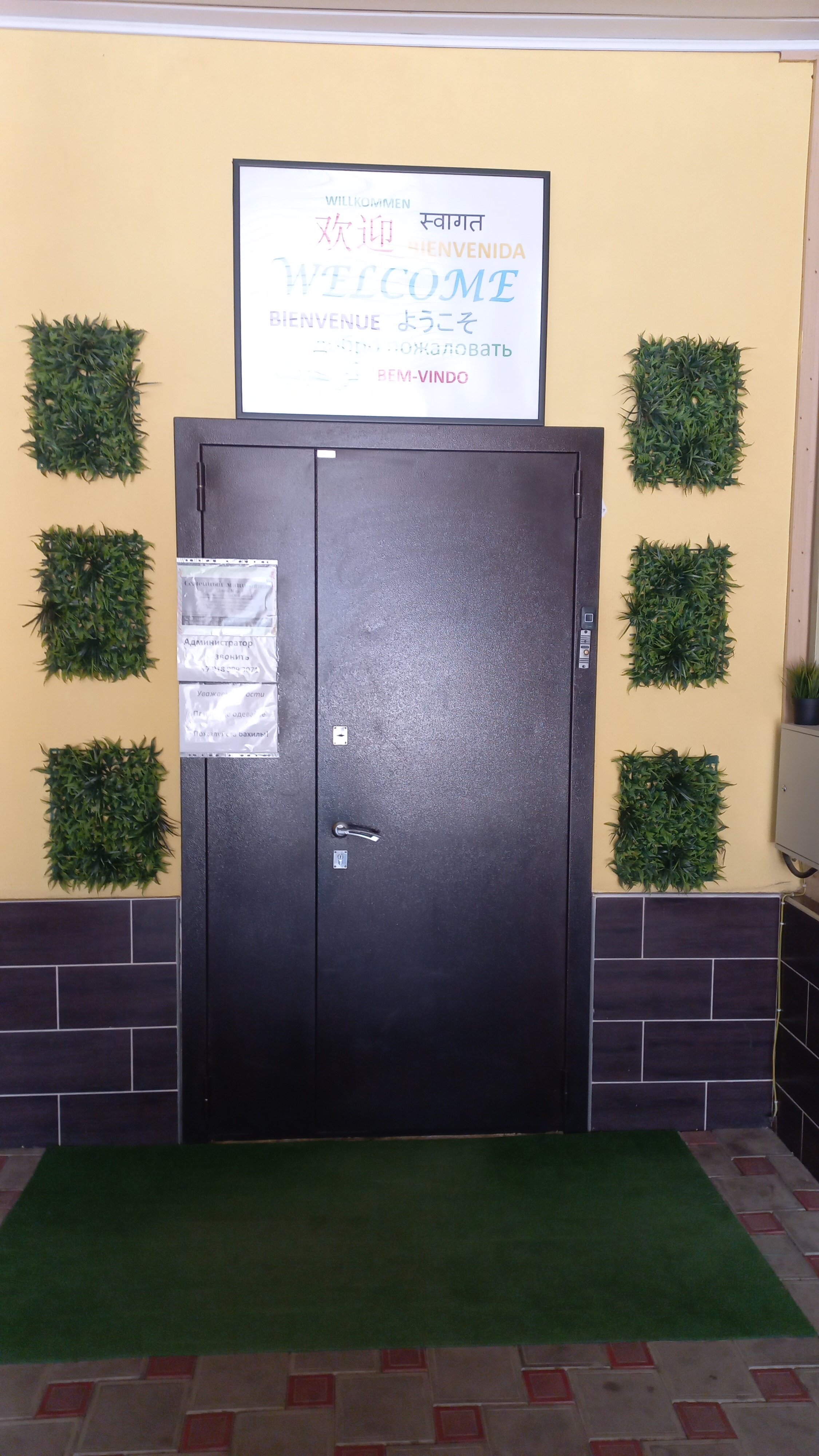 Фото Данимар