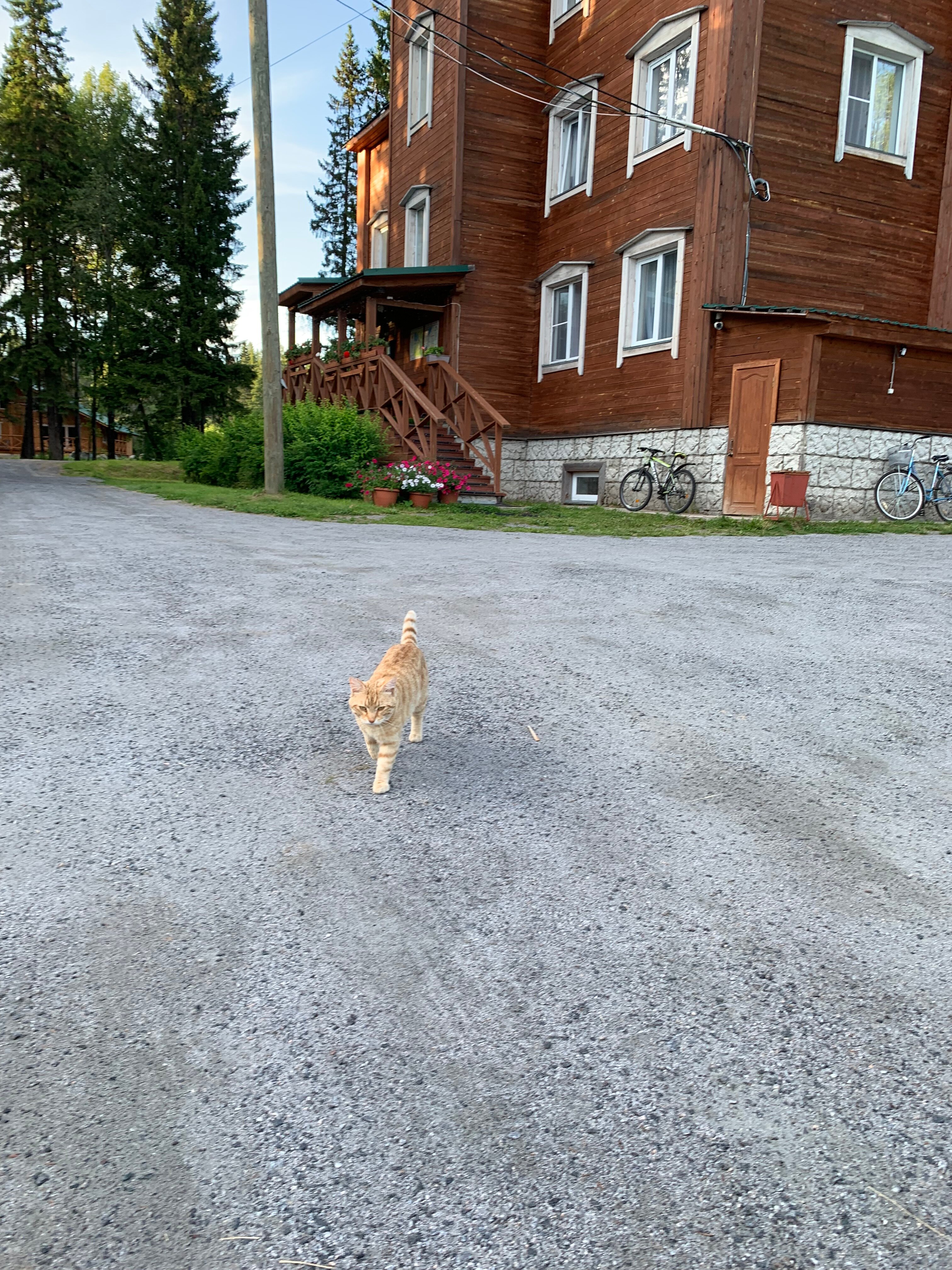 Фото Онежская гора