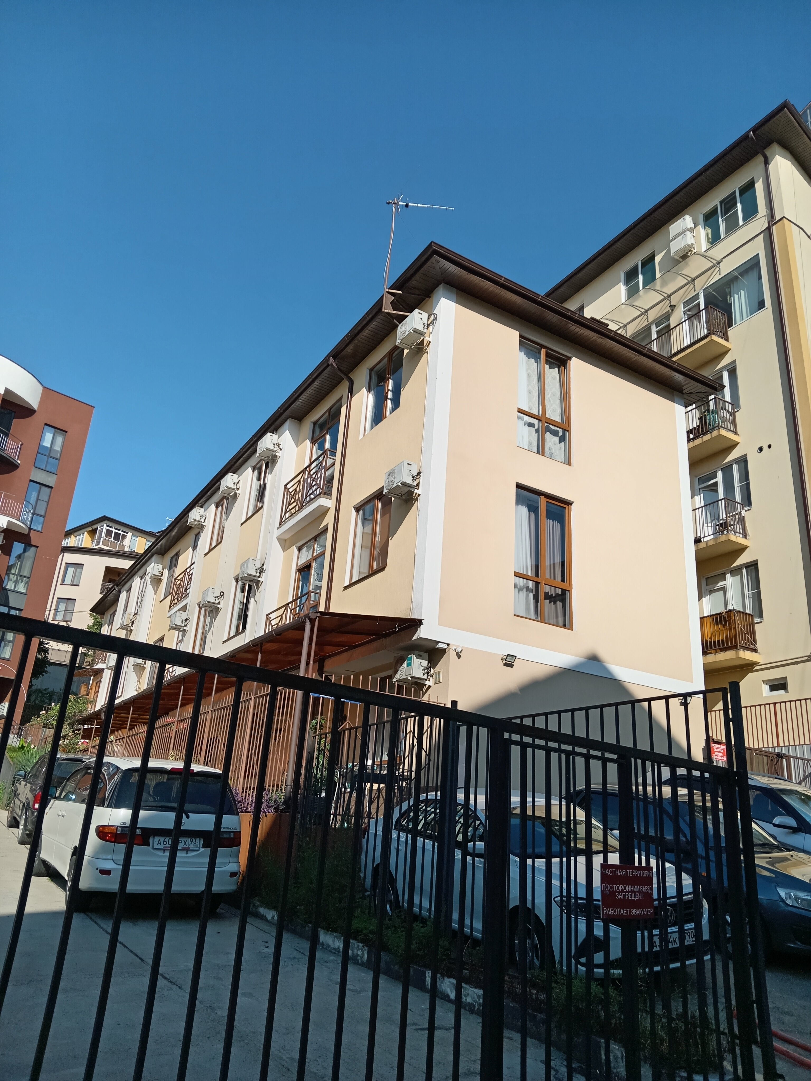 Фото Надежда