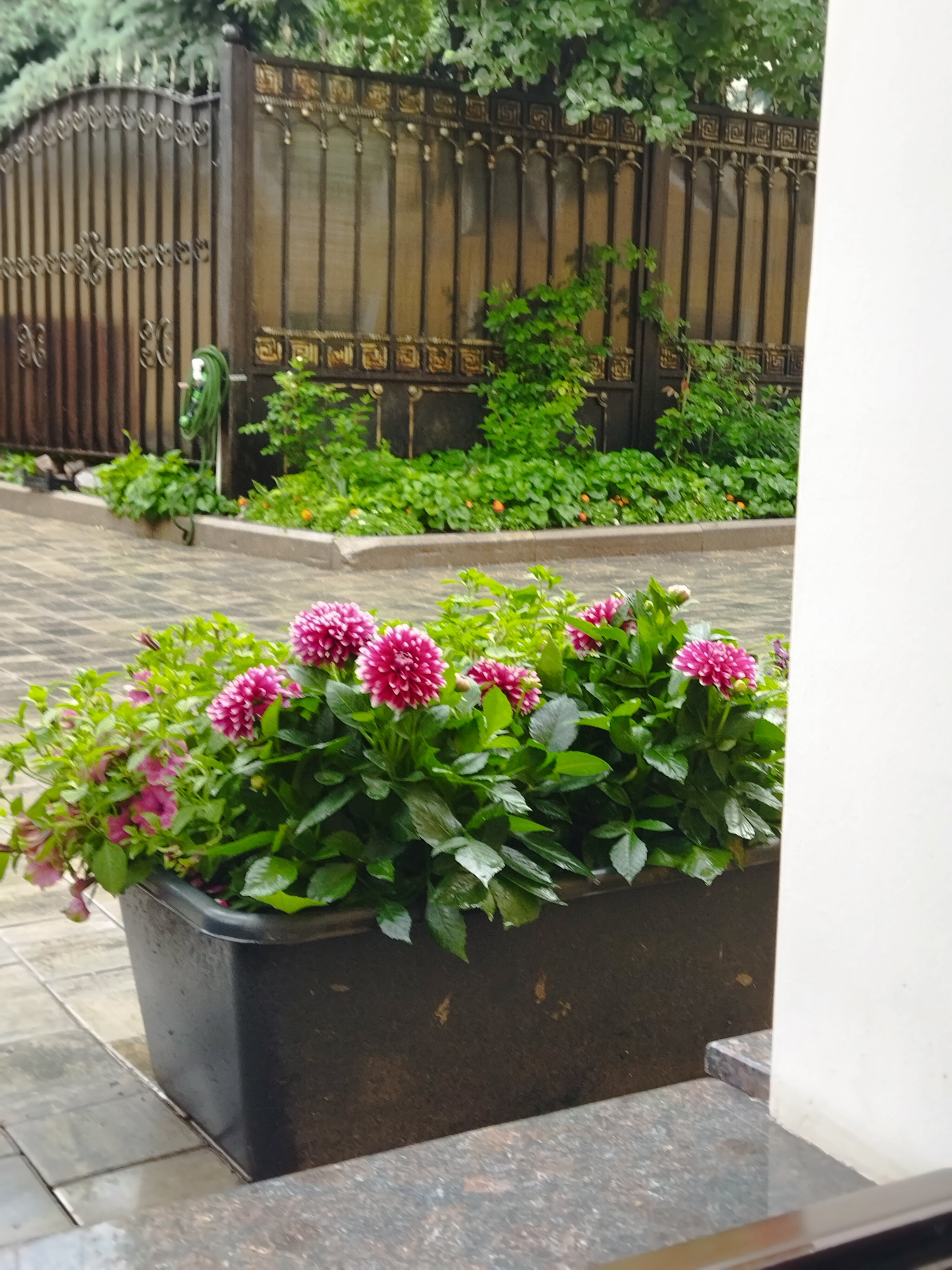 Фото Богоявленский