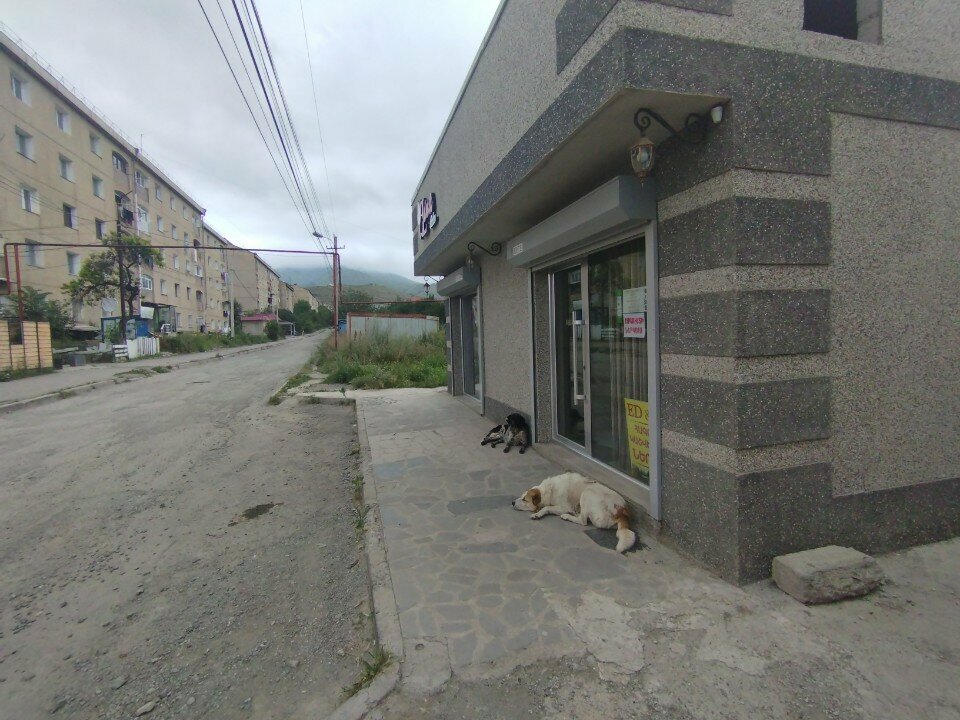 Tailor Ed&ar, Vanadzor, photo