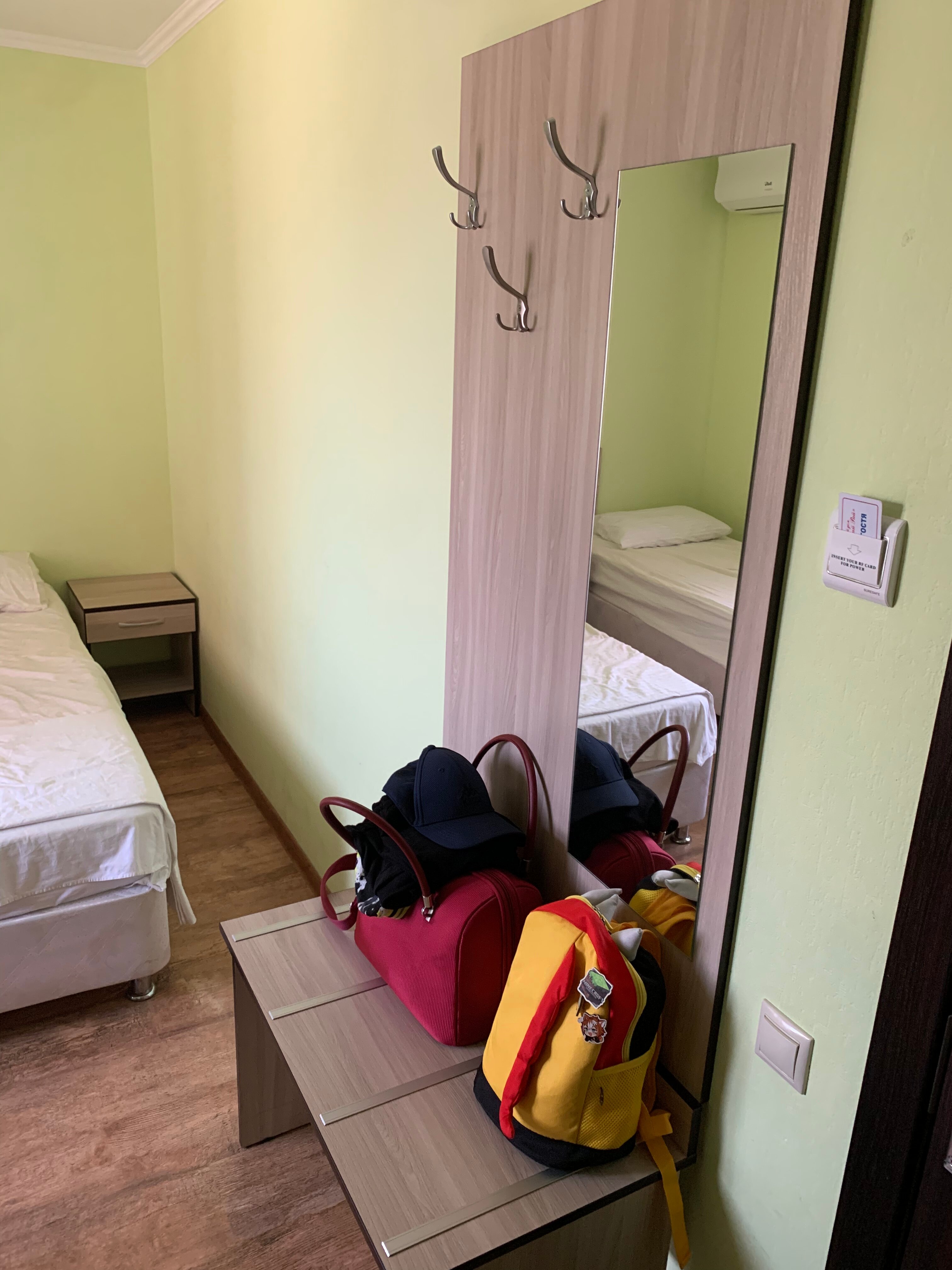 Фото Дельфиния