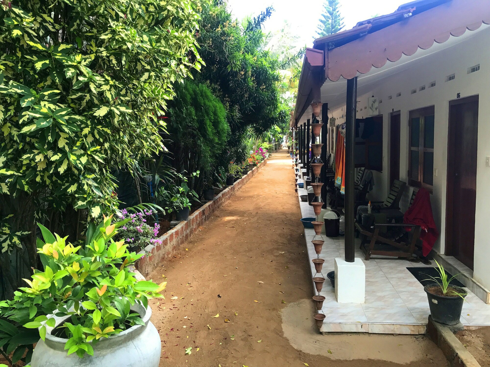 Фото Central Beach Inn