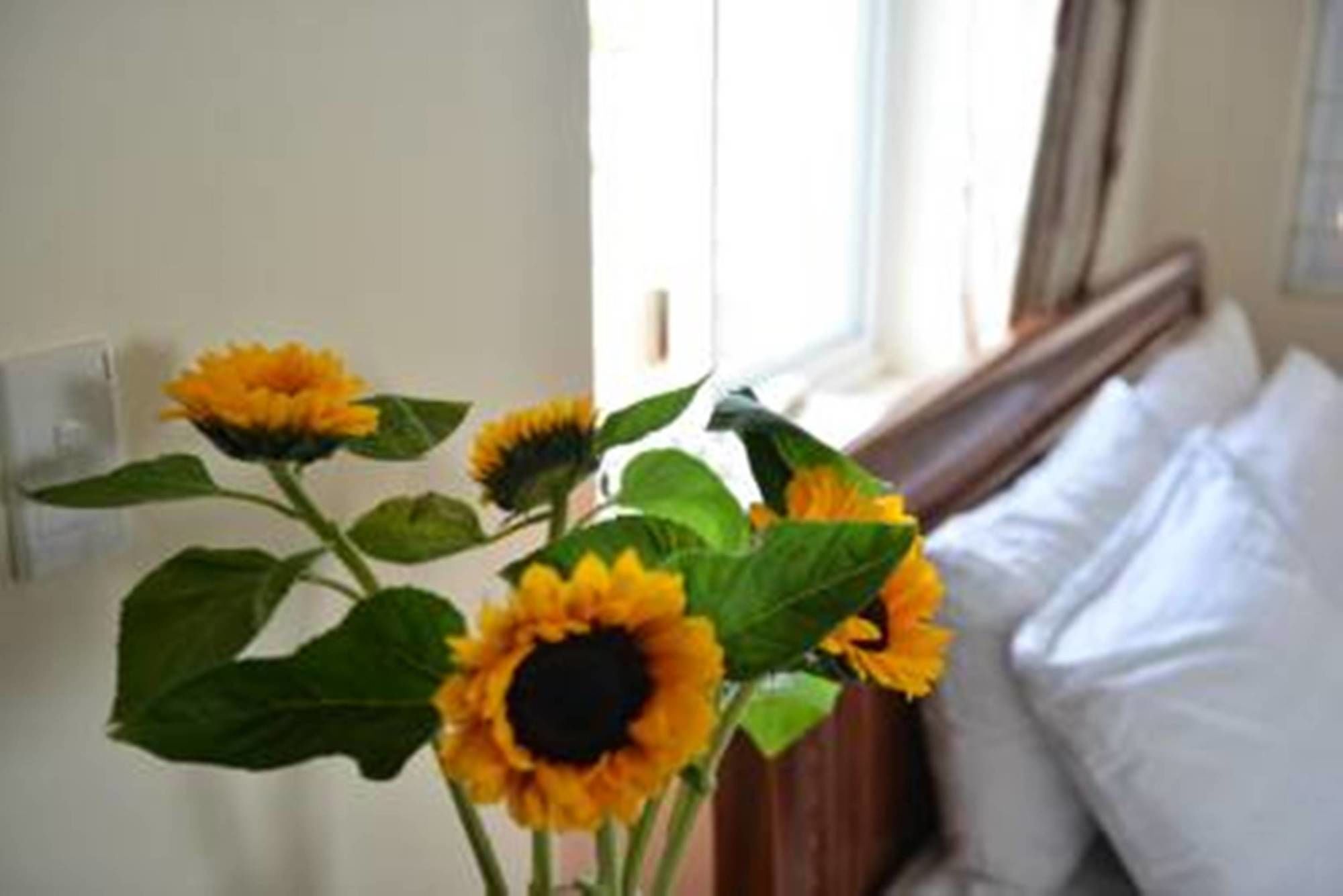 Фото Vien Dong 2 Hotel