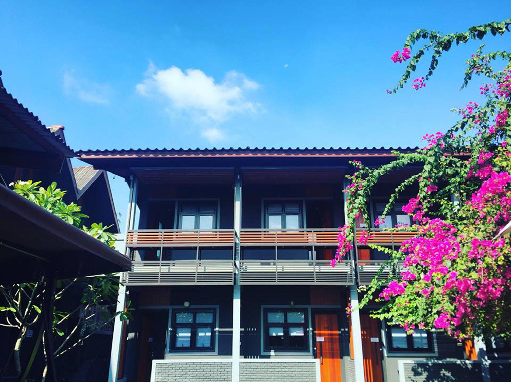 Фото ChiangMai Moli Inn - Hostel