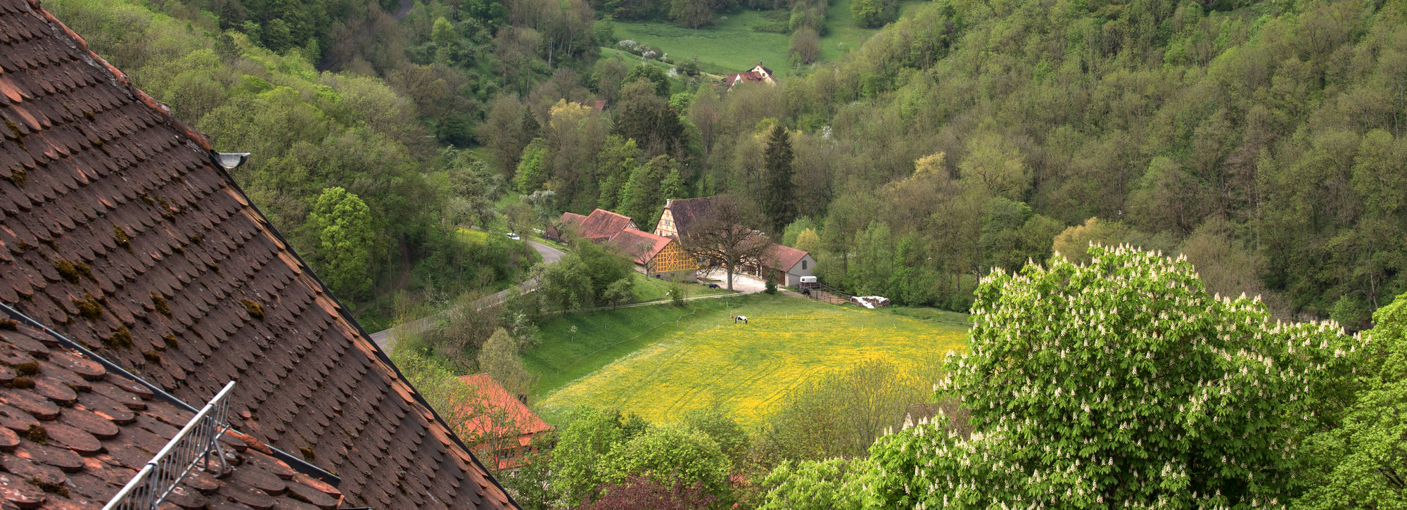 Фото Hotel am Siebersturm