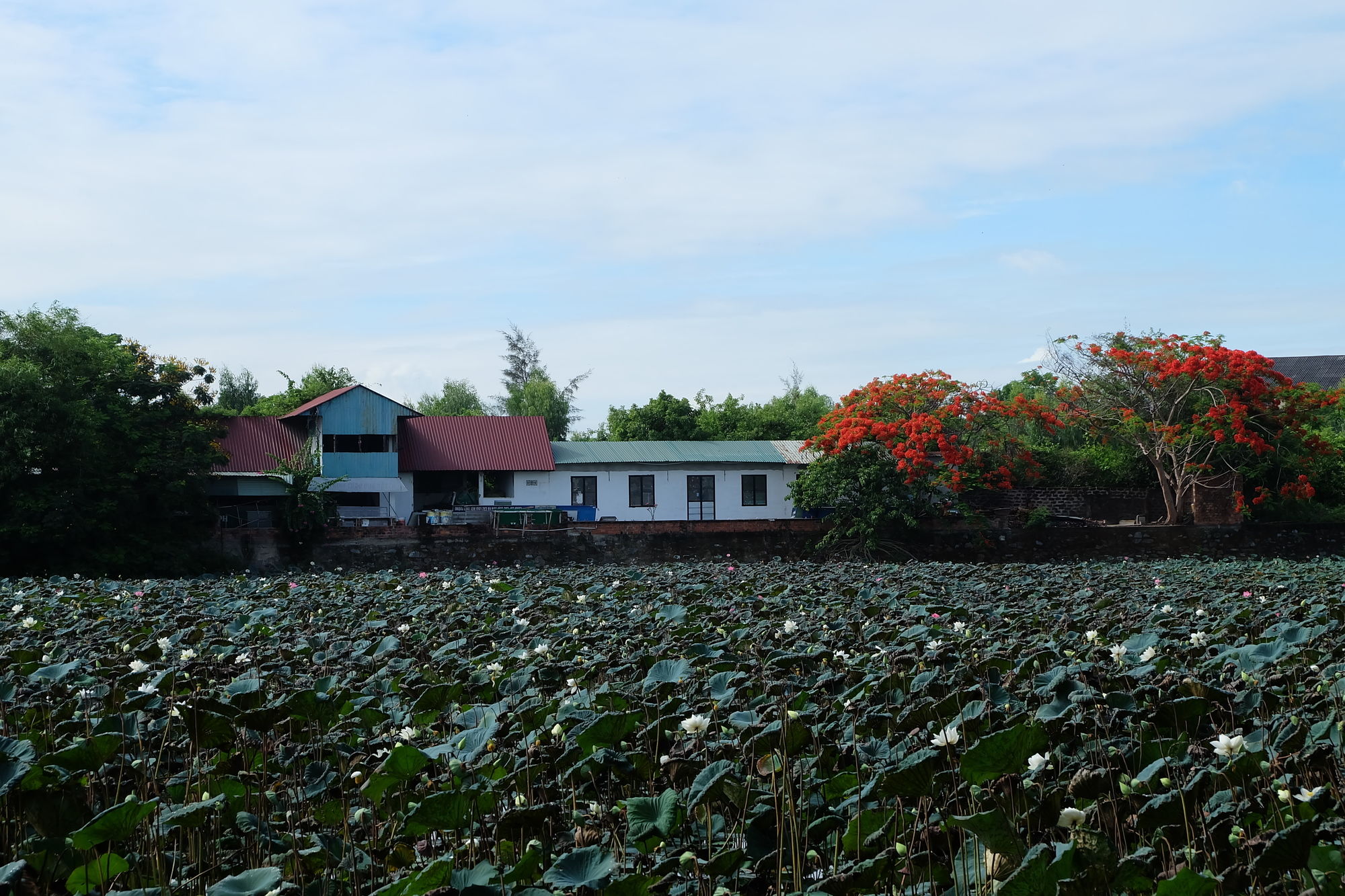 Фото Dai Long Hotel