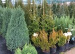 Medra (derevnya Semyonkovo, territoriya Pitomnik dekorativnykh rasteniy, с1), garden center