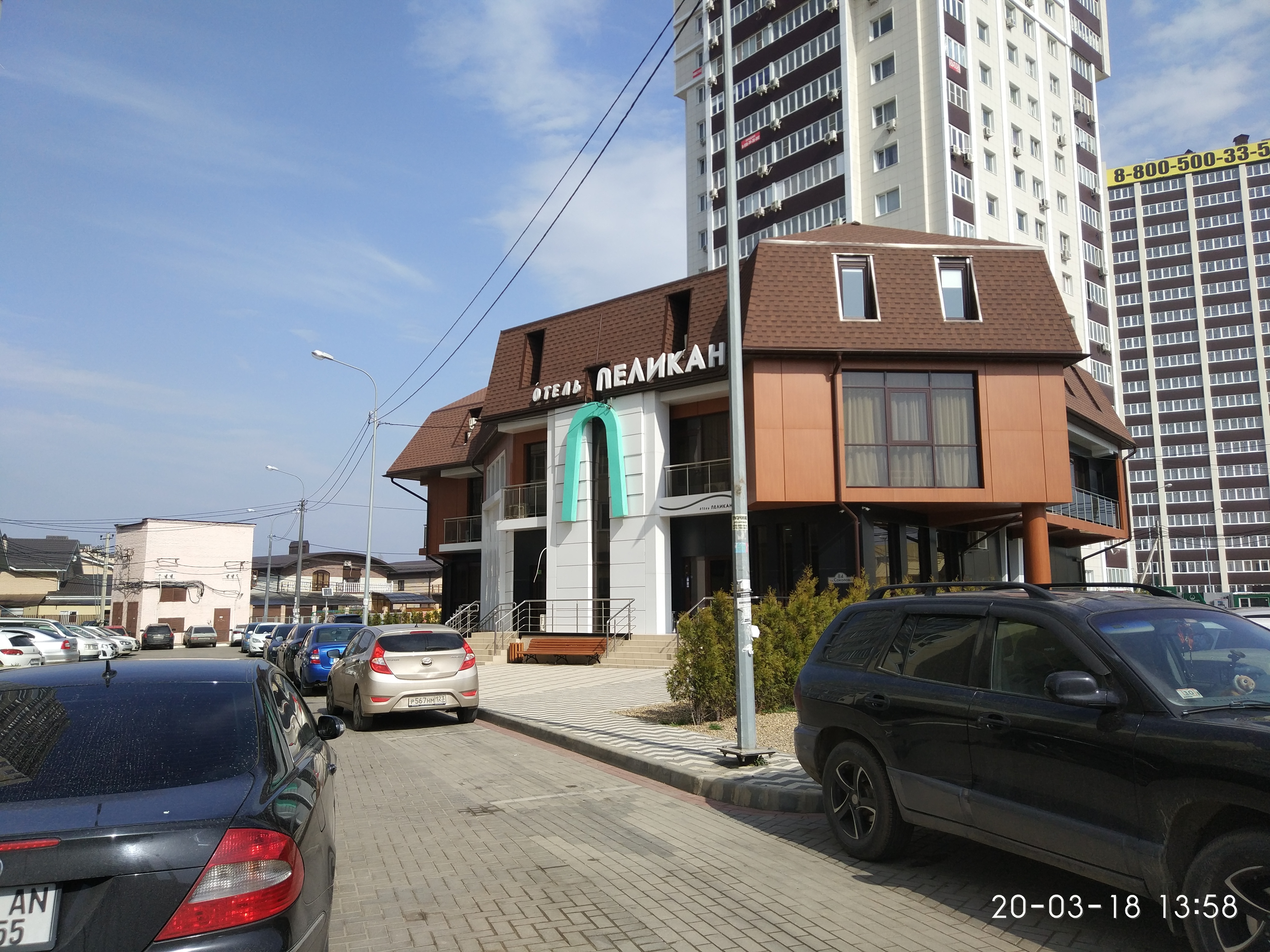 Фото Пеликан