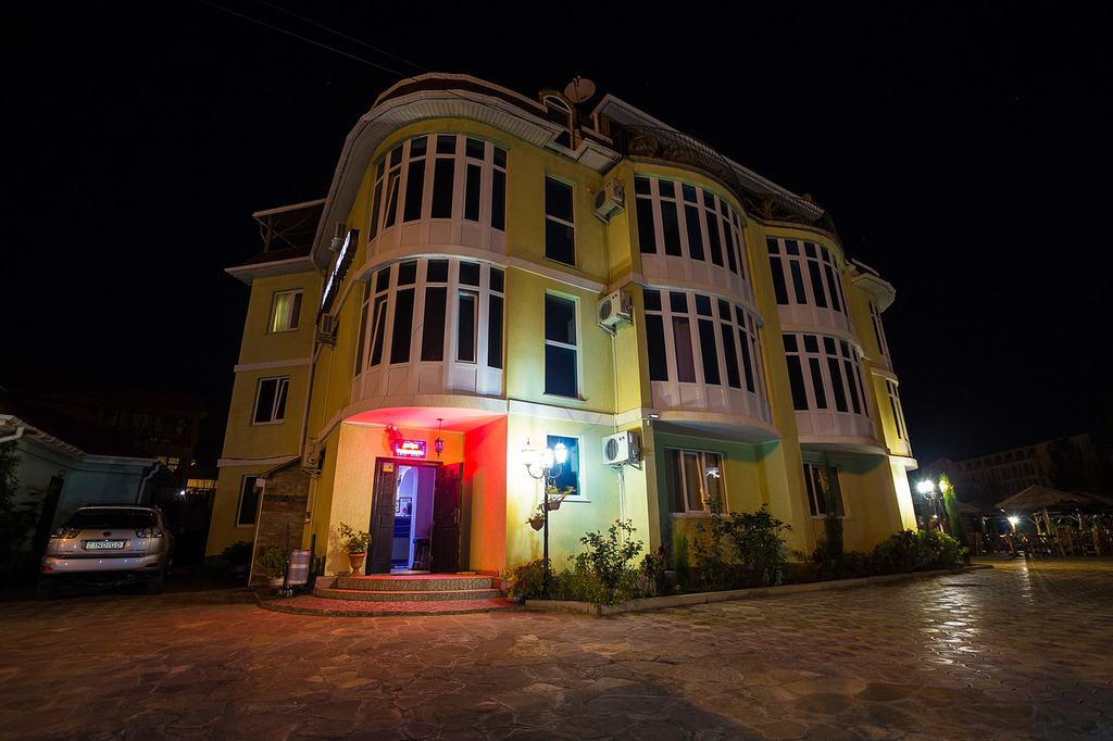 Фото Воробьиное гнездо