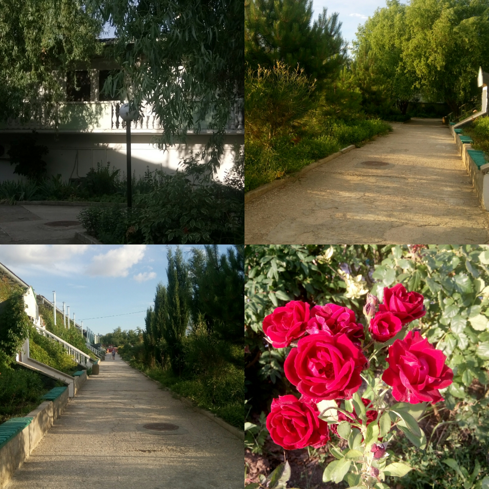 Фото Любоморье