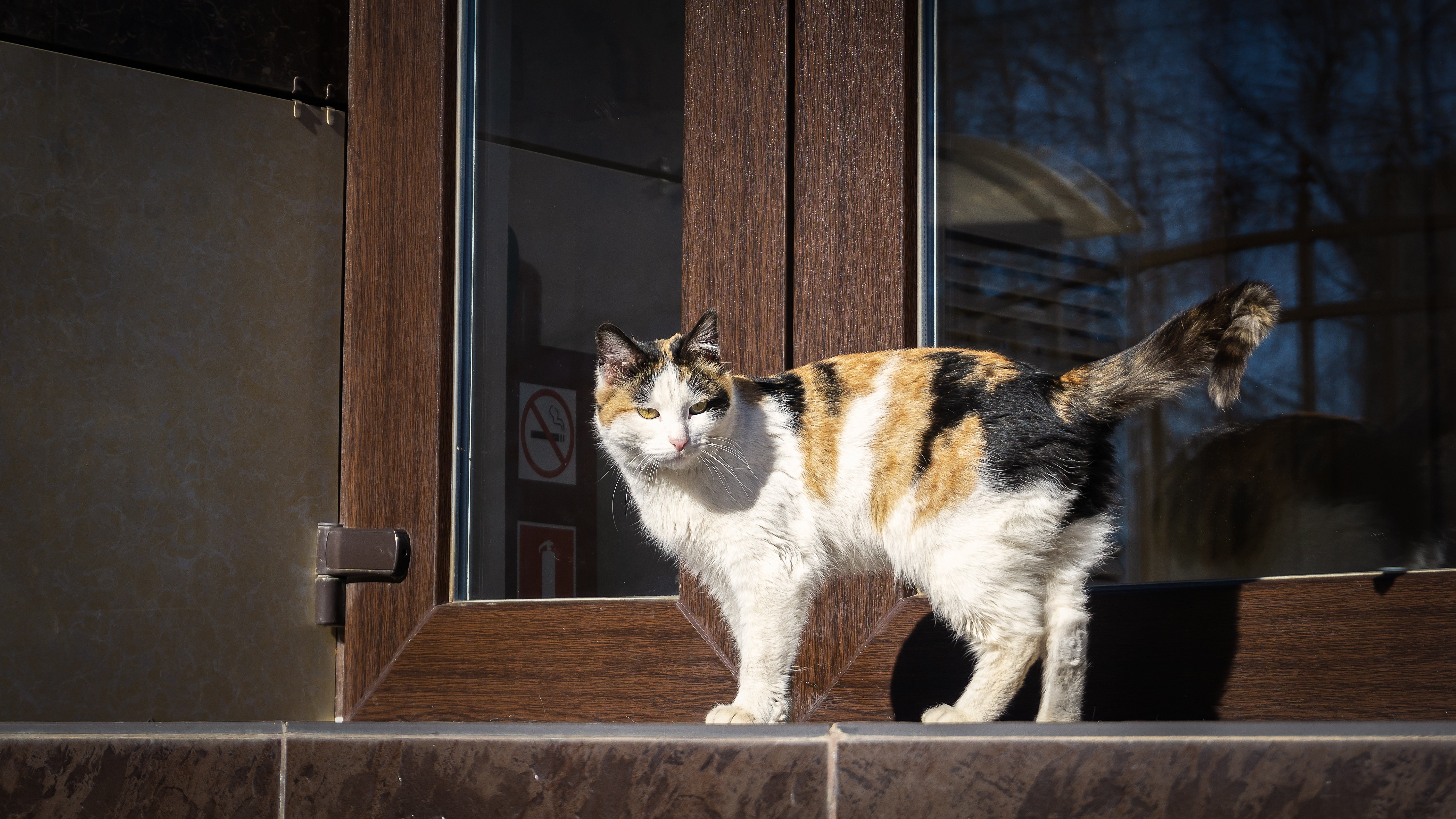 Фото Виктория