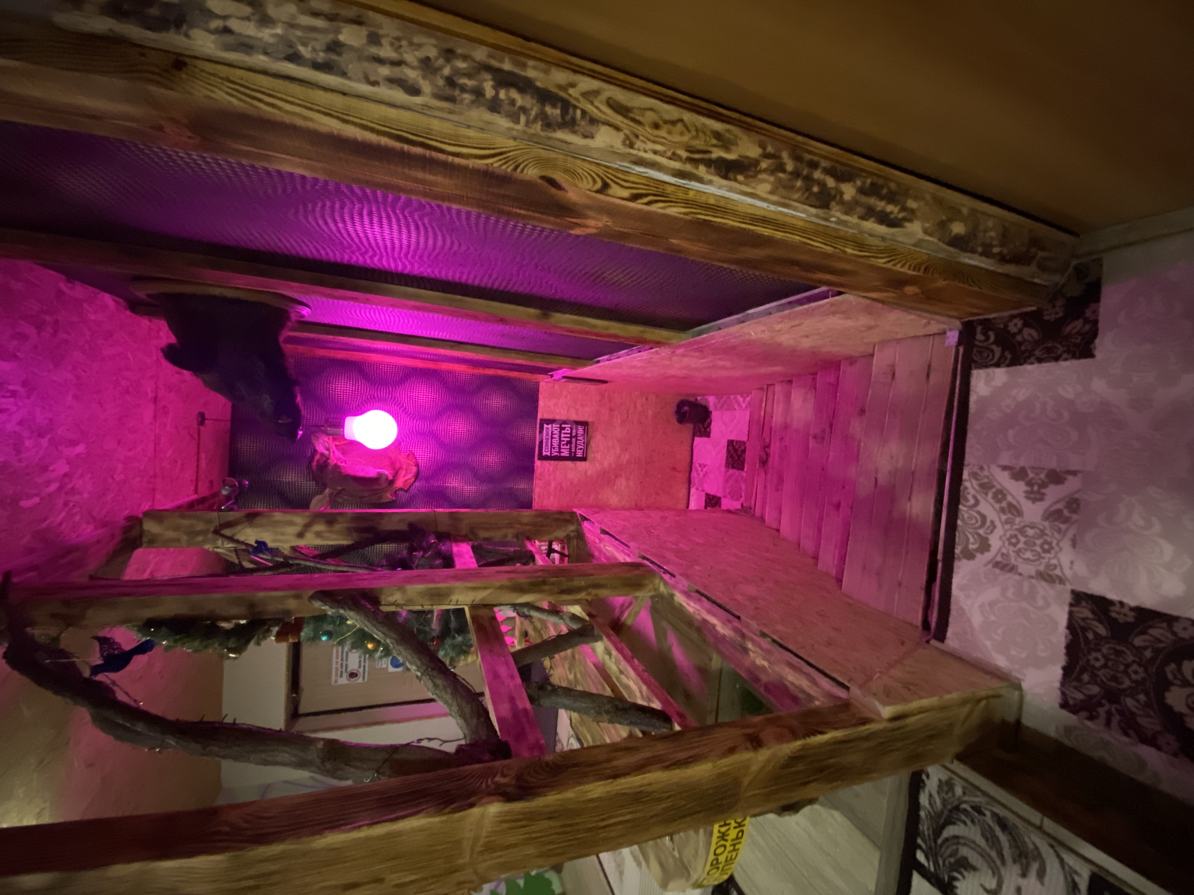 Фото Удачная дача