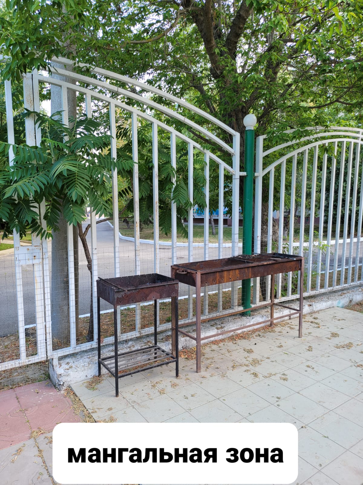 Фото У Нелли