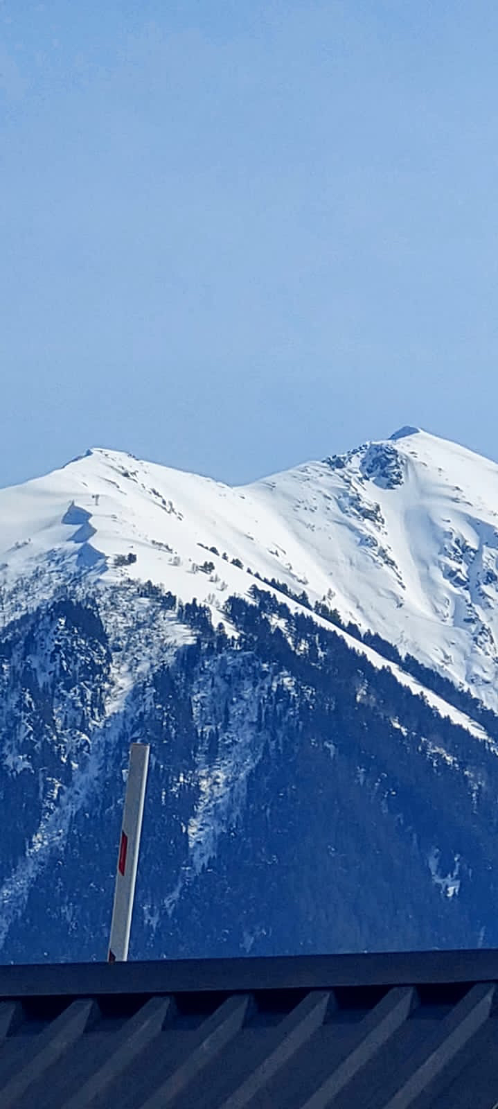 Фото Шаудан